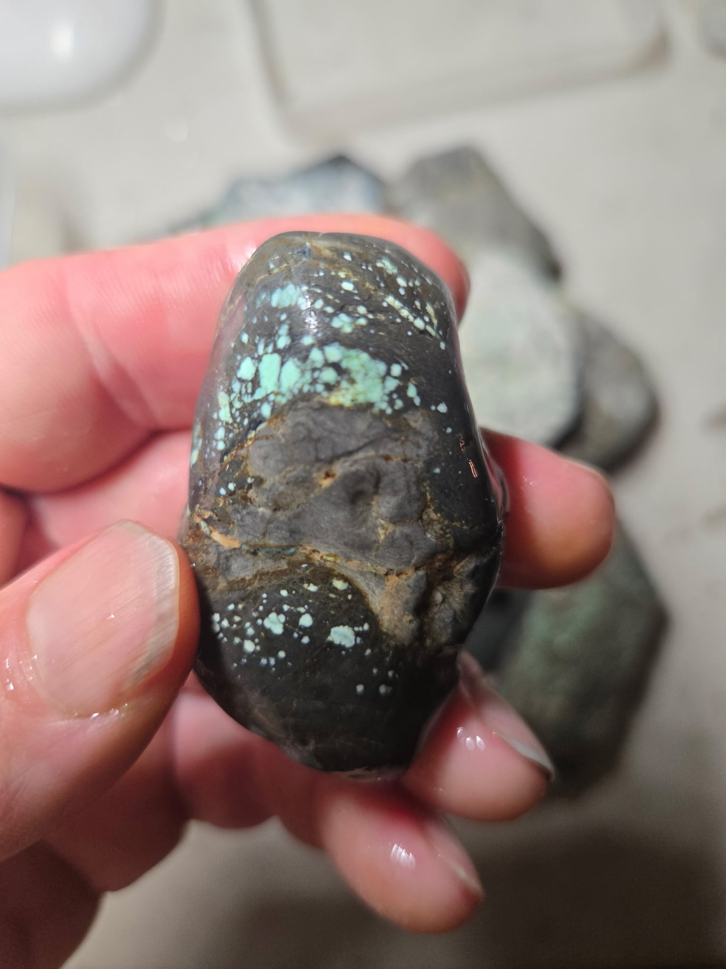 Blue Boy Variscite/Turquoise rough for cabbing - Natural Nevada Variscite - 1000 gram lot 1