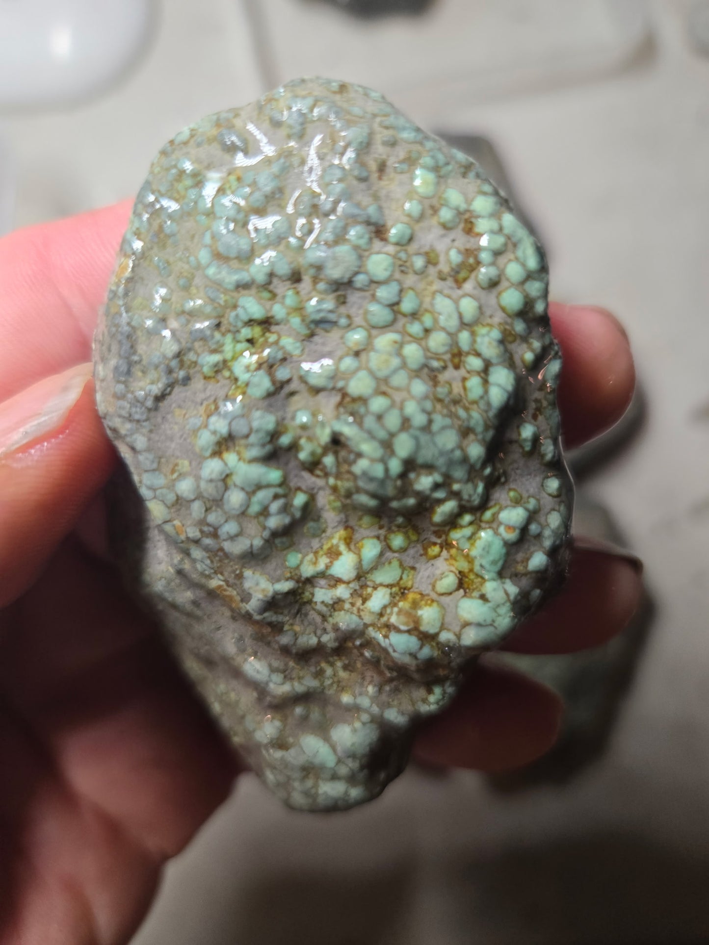 Blue Boy Variscite/Turquoise rough for cabbing - Natural Nevada Variscite - 1000 gram lot 1