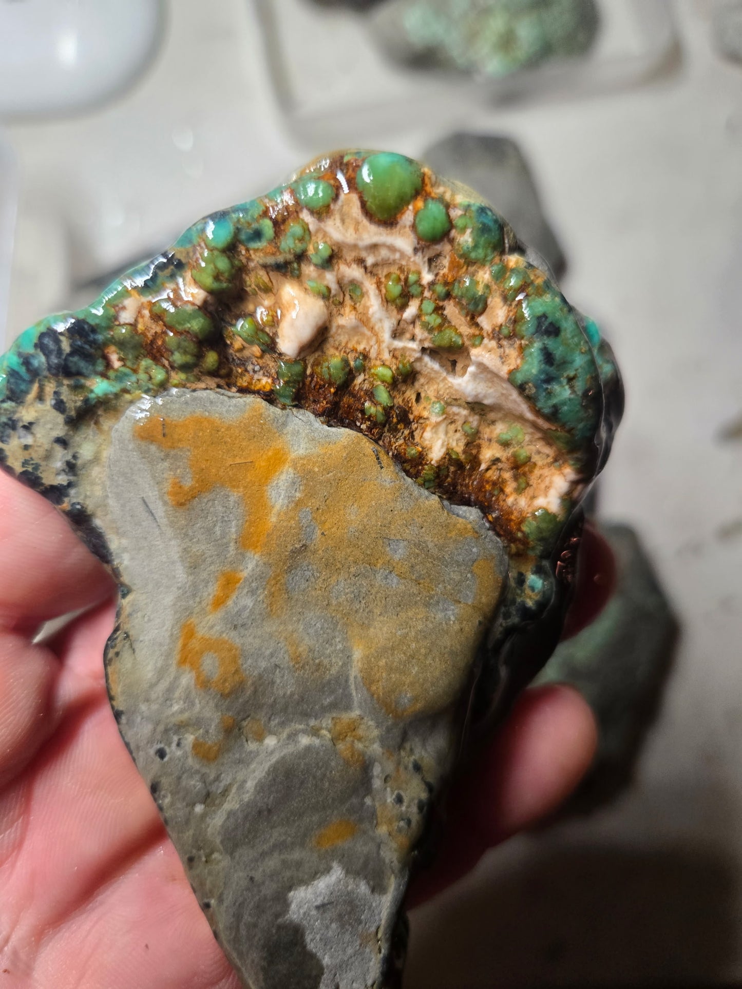 Blue Boy Variscite/Turquoise rough for cabbing - Natural Nevada Variscite - 1000 gram lot 1