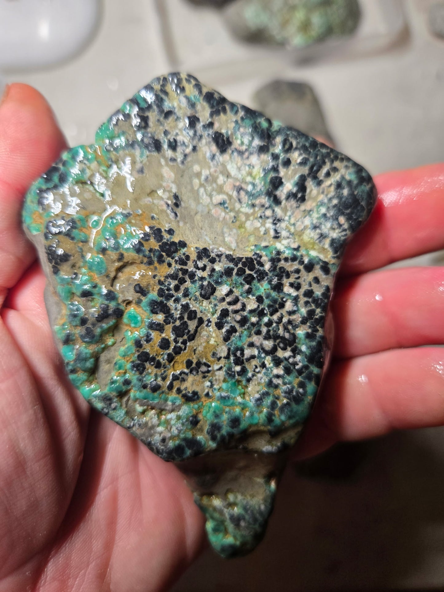 Blue Boy Variscite/Turquoise rough for cabbing - Natural Nevada Variscite - 1000 gram lot 1