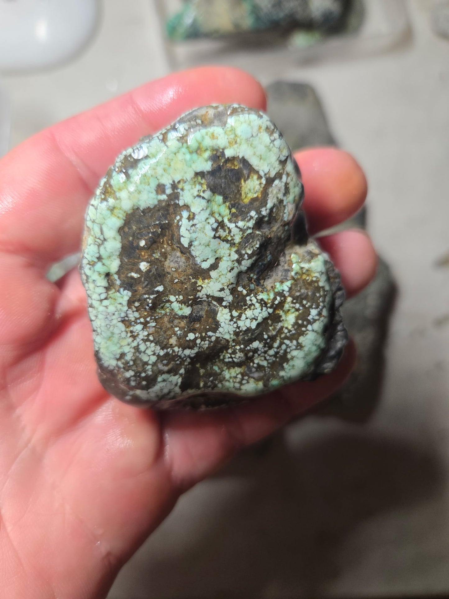 Blue Boy Variscite/Turquoise rough for cabbing - Natural Nevada Variscite - 1000 gram lot 1