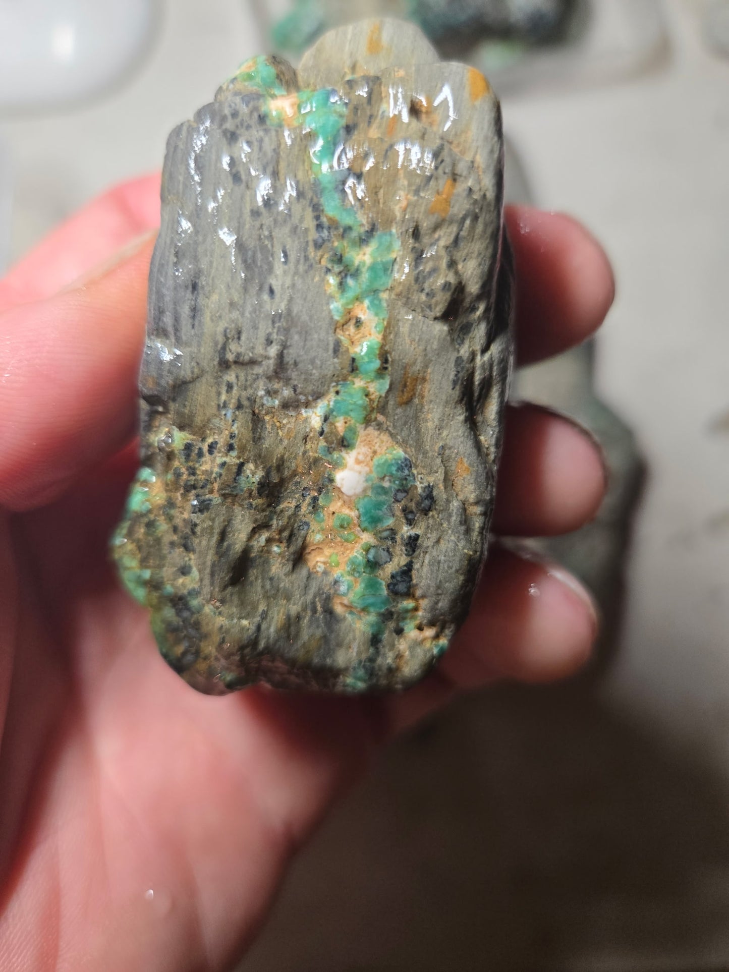 Blue Boy Variscite/Turquoise rough for cabbing - Natural Nevada Variscite - 1000 gram lot 1