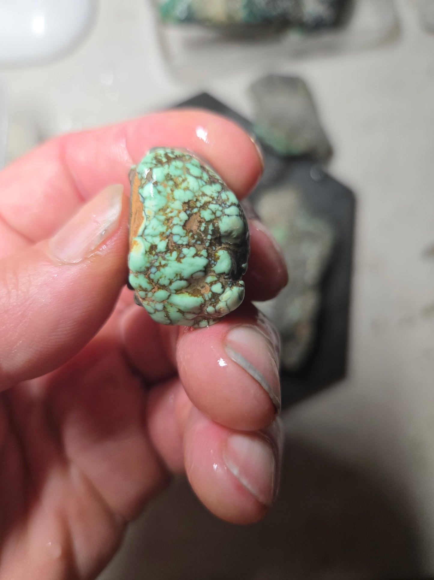 Blue Boy Variscite/Turquoise rough for cabbing - Natural Nevada Variscite - 1000 gram lot 1