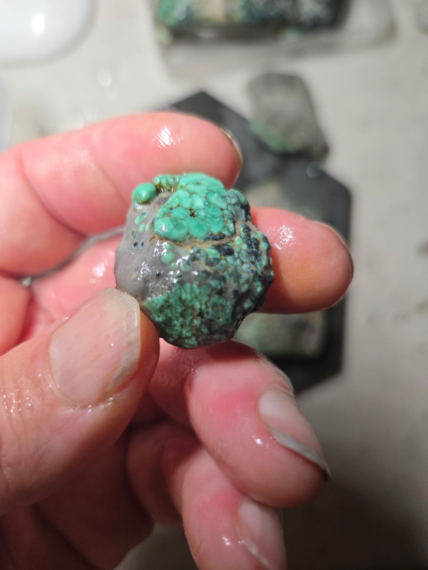 Blue Boy Variscite/Turquoise rough for cabbing - Natural Nevada Variscite - 1000 gram lot 1