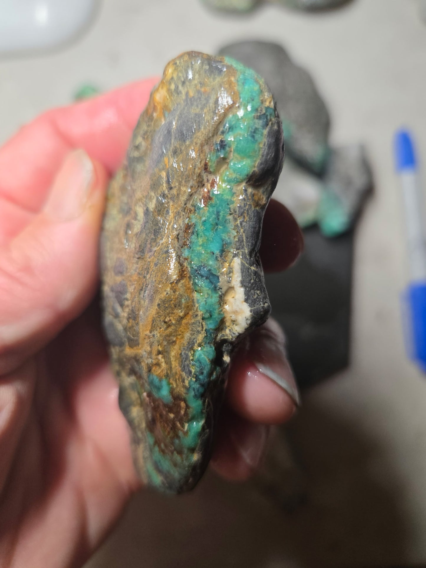 Blue Boy Variscite/Turquoise rough for cabbing - Natural Nevada Variscite - 1000 gram lot 2