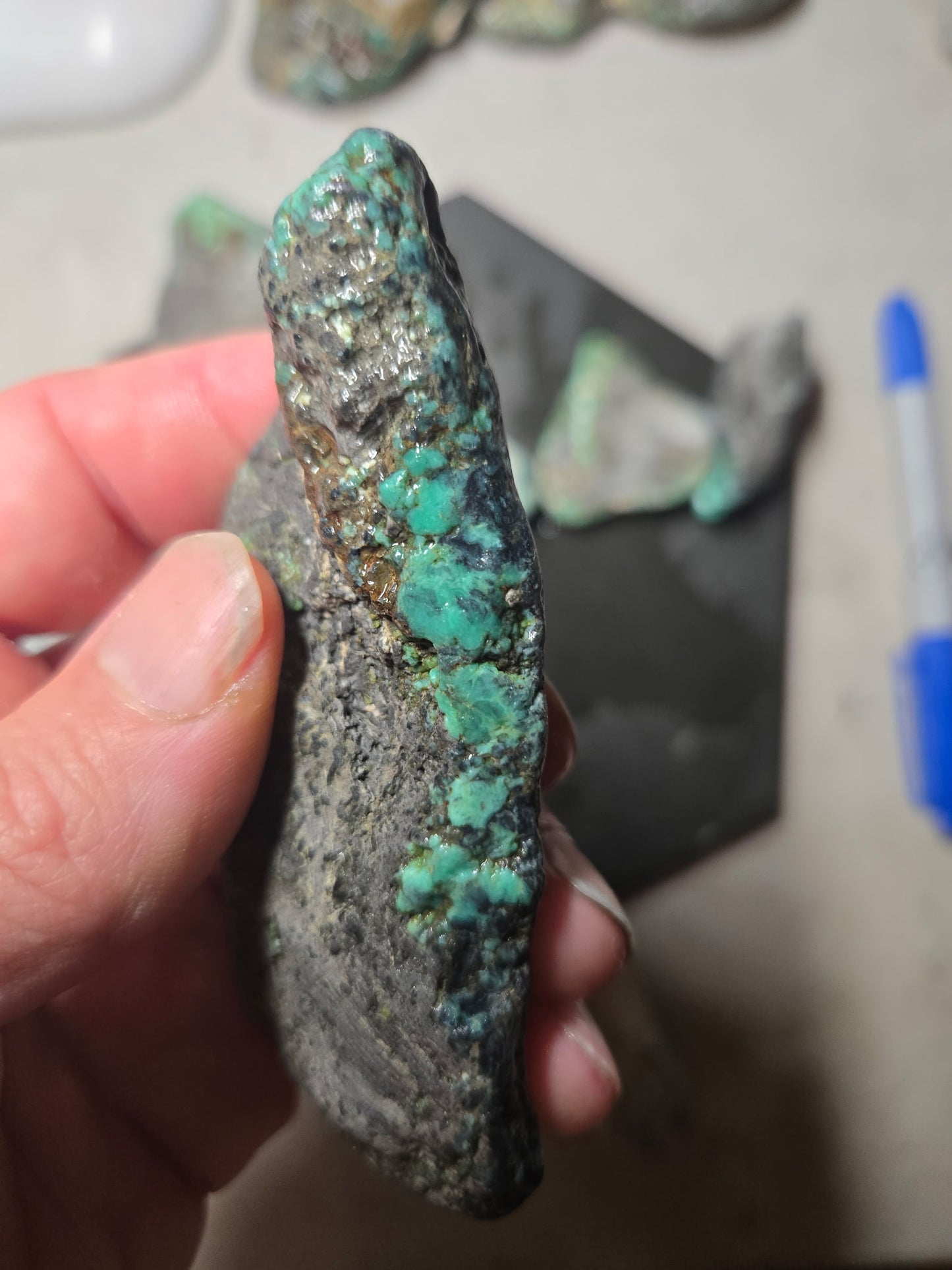 Blue Boy Variscite/Turquoise rough for cabbing - Natural Nevada Variscite - 1000 gram lot 2