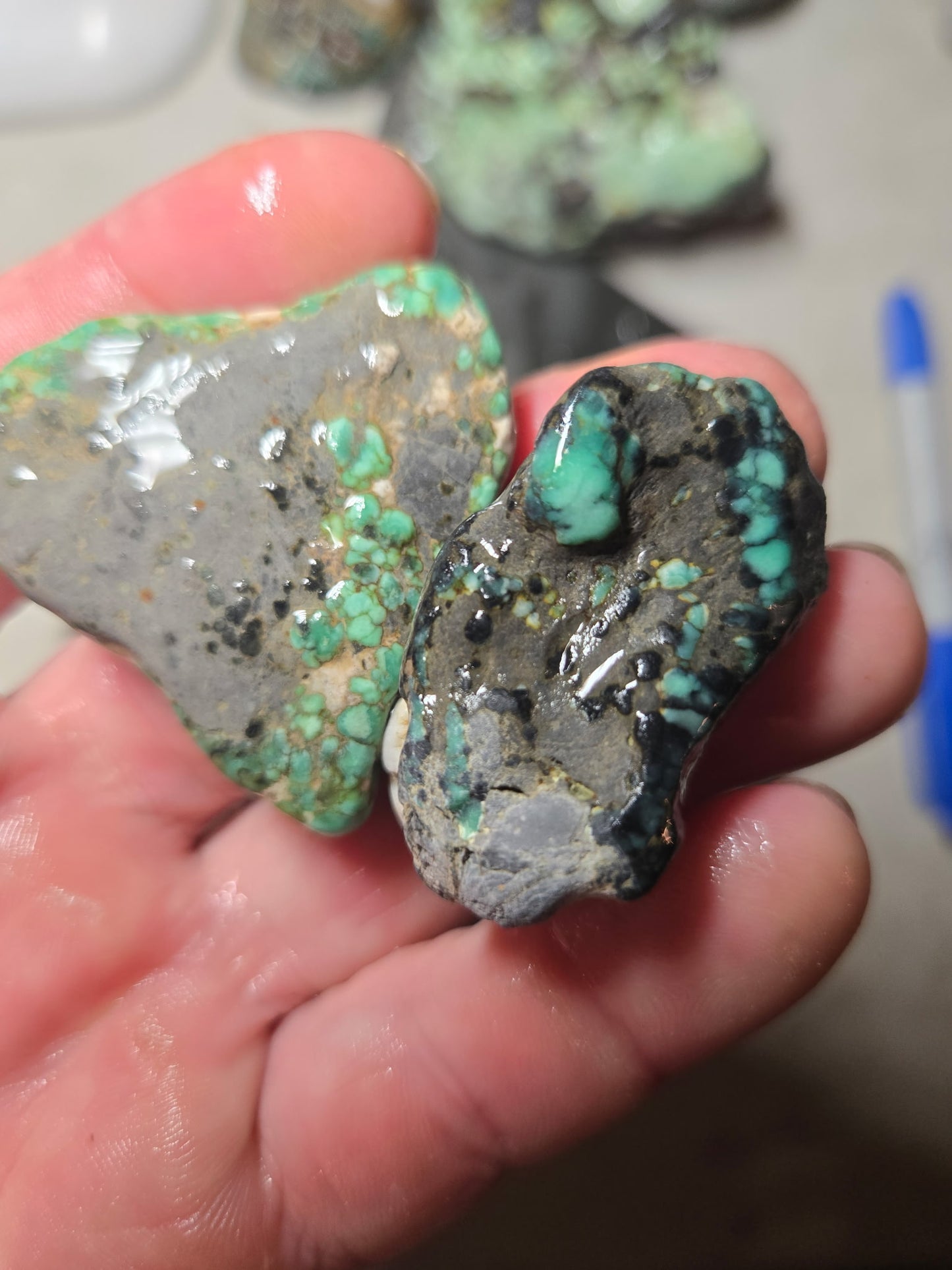 Blue Boy Variscite/Turquoise rough for cabbing - Natural Nevada Variscite - 1000 gram lot 2