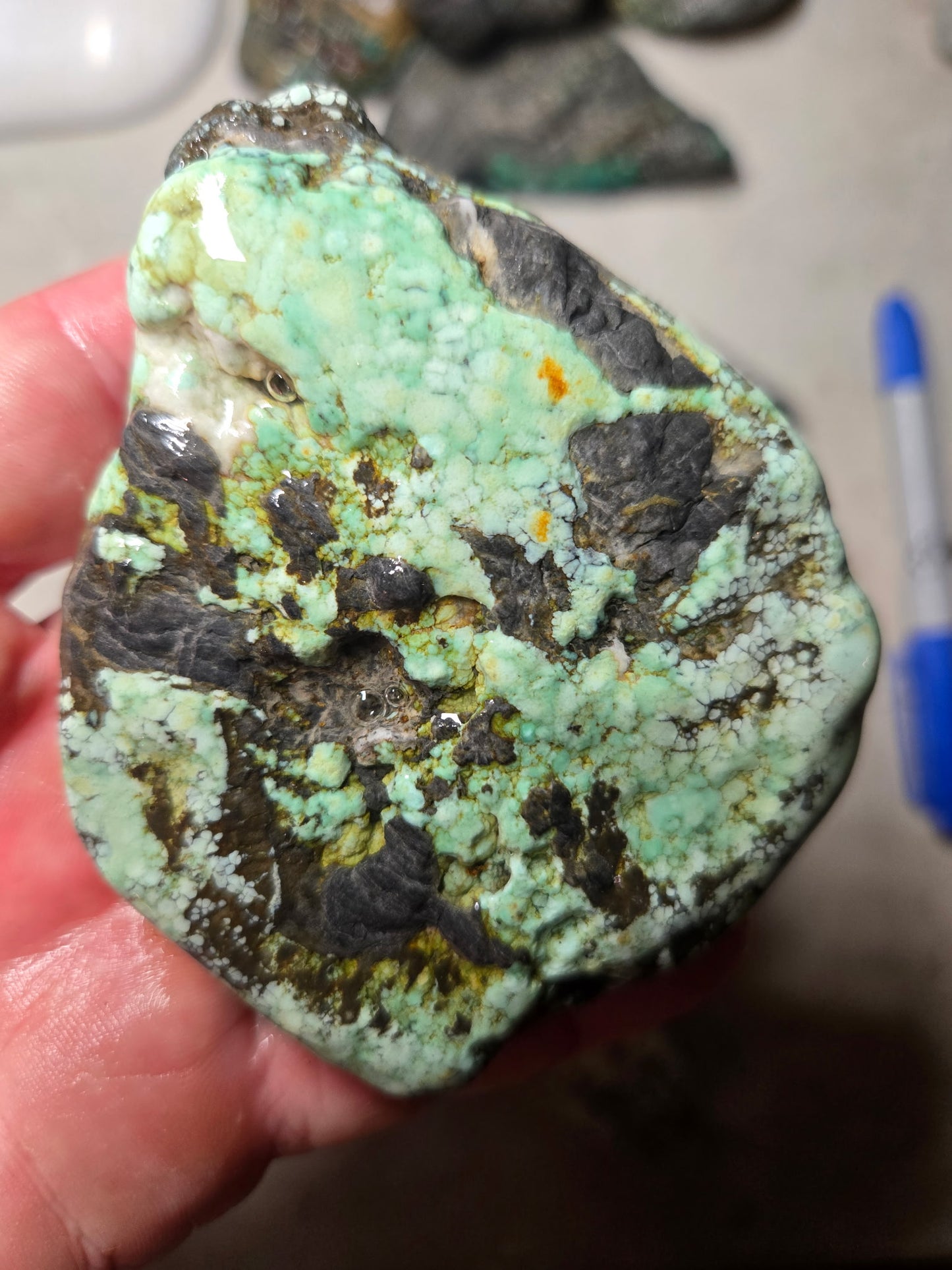 Blue Boy Variscite/Turquoise rough for cabbing - Natural Nevada Variscite - 1000 gram lot 2