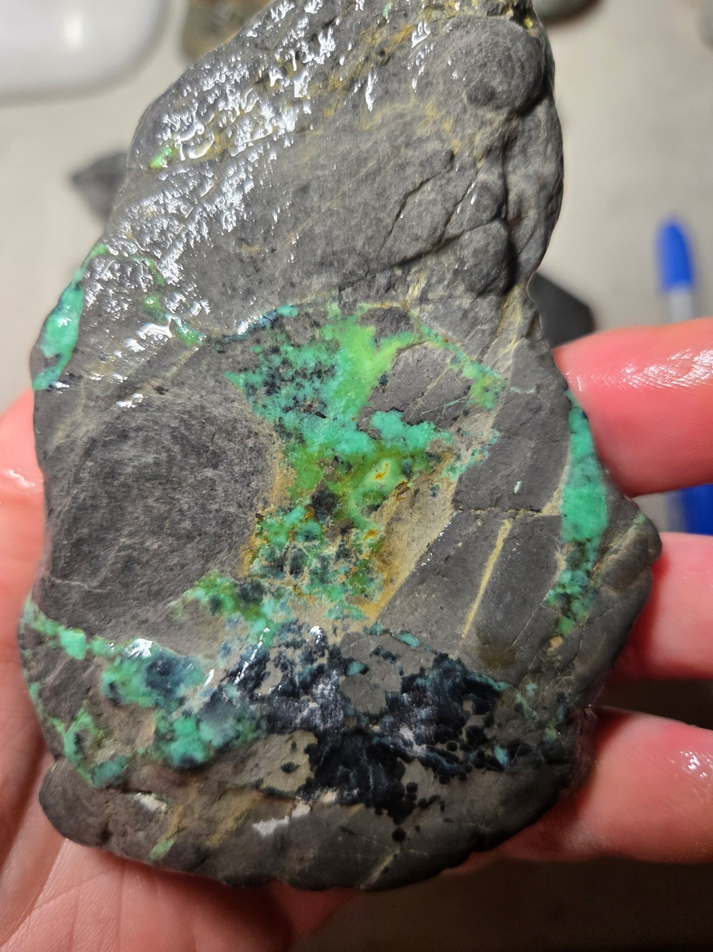 Blue Boy Variscite/Turquoise rough for cabbing - Natural Nevada Variscite - 1000 gram lot 2