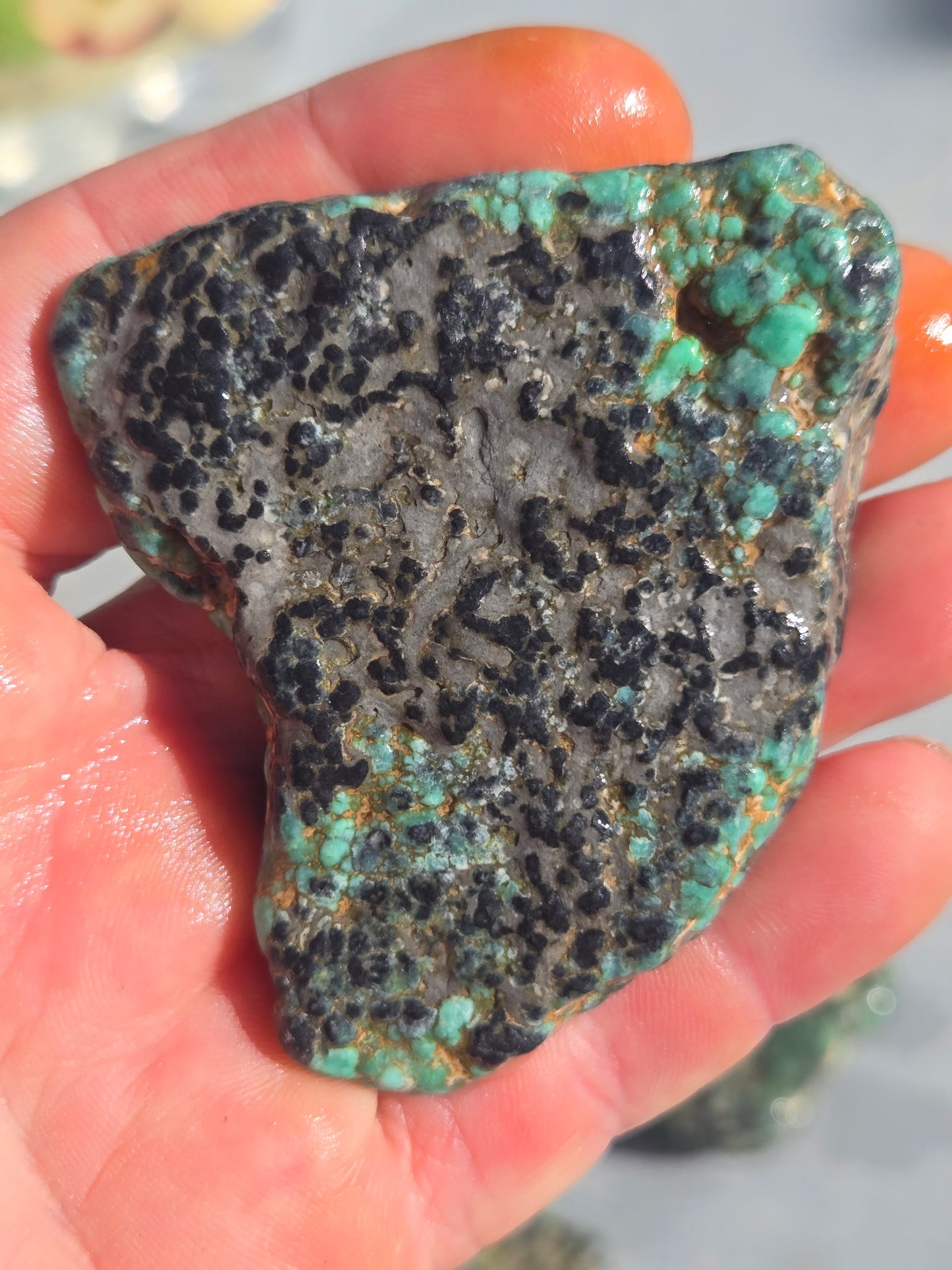 Blue Boy Variscite/Turquoise rough for cabbing - Natural Nevada Variscite - 173 gram lot
