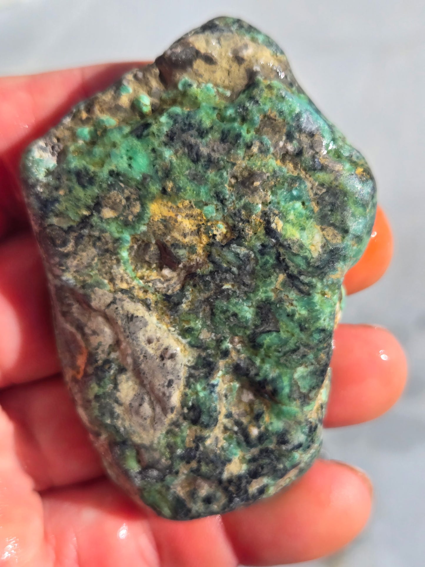Blue Boy Variscite/Turquoise rough for cabbing - Natural Nevada Variscite - 173 gram lot