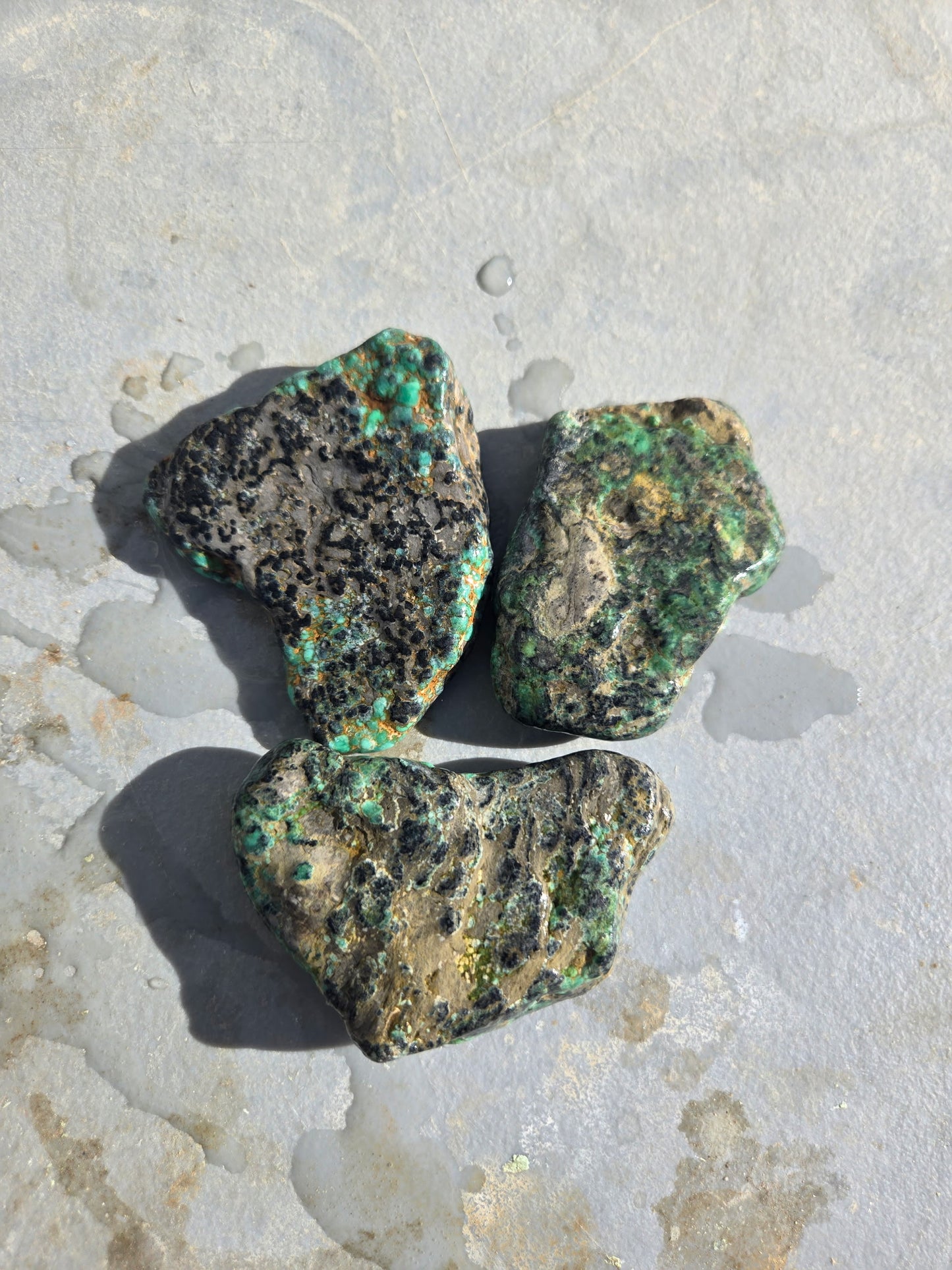 Blue Boy Variscite/Turquoise rough for cabbing - Natural Nevada Variscite - 173 gram lot