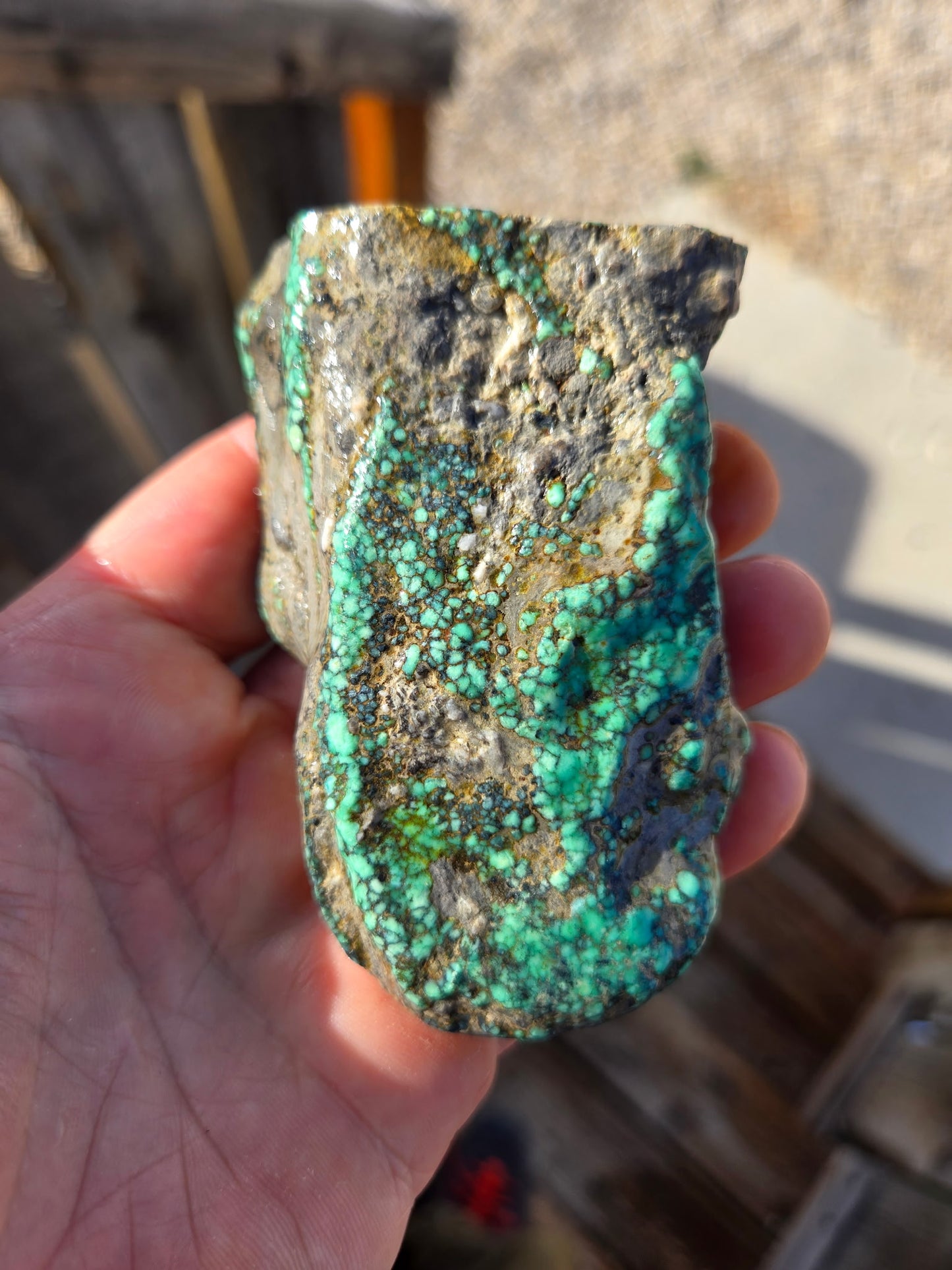 Blue Boy Variscite/Turquoise rough for cabbing - Natural Nevada Variscite - 145 gram lot
