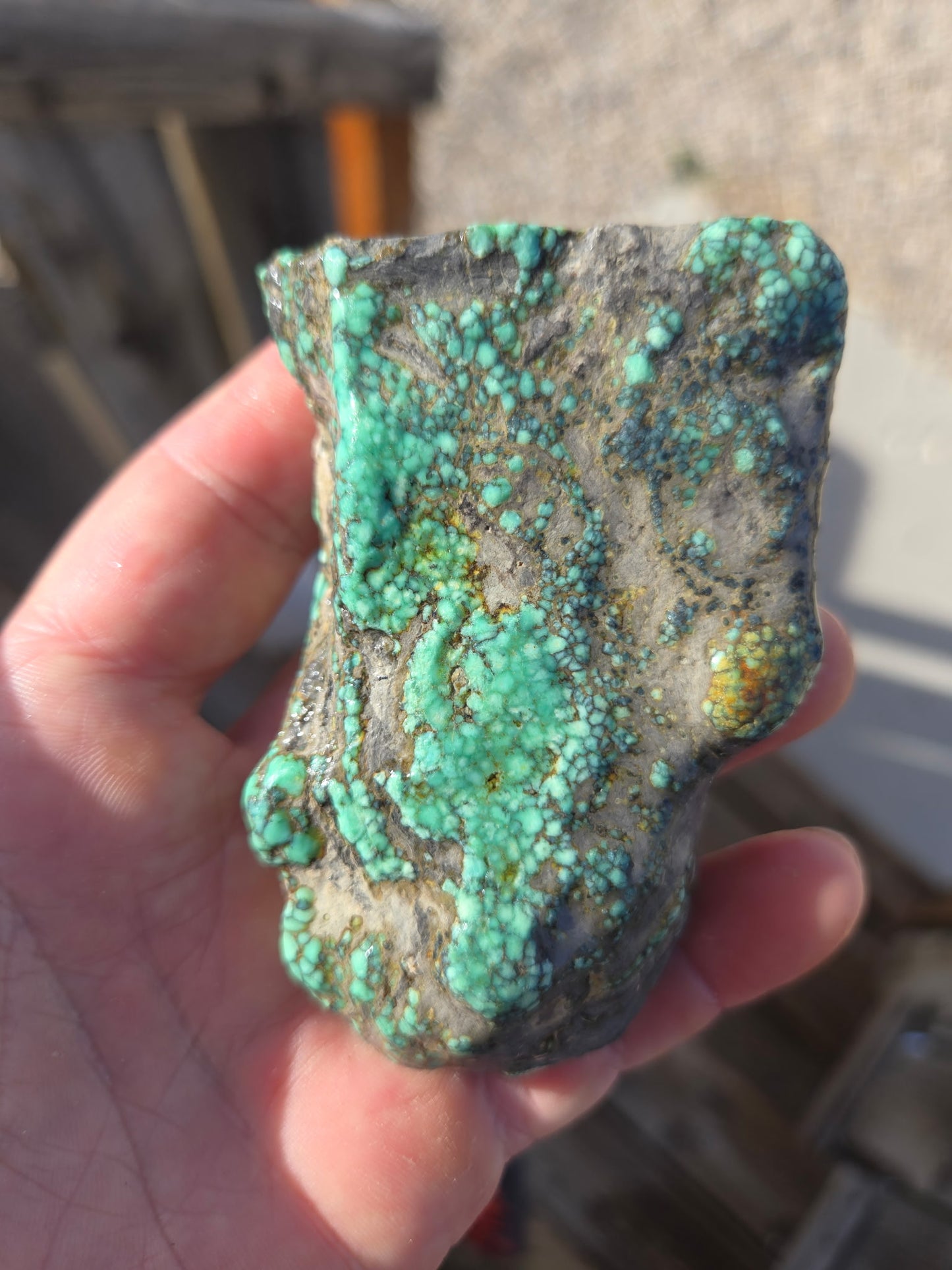 Blue Boy Variscite/Turquoise rough for cabbing - Natural Nevada Variscite - 145 gram lot