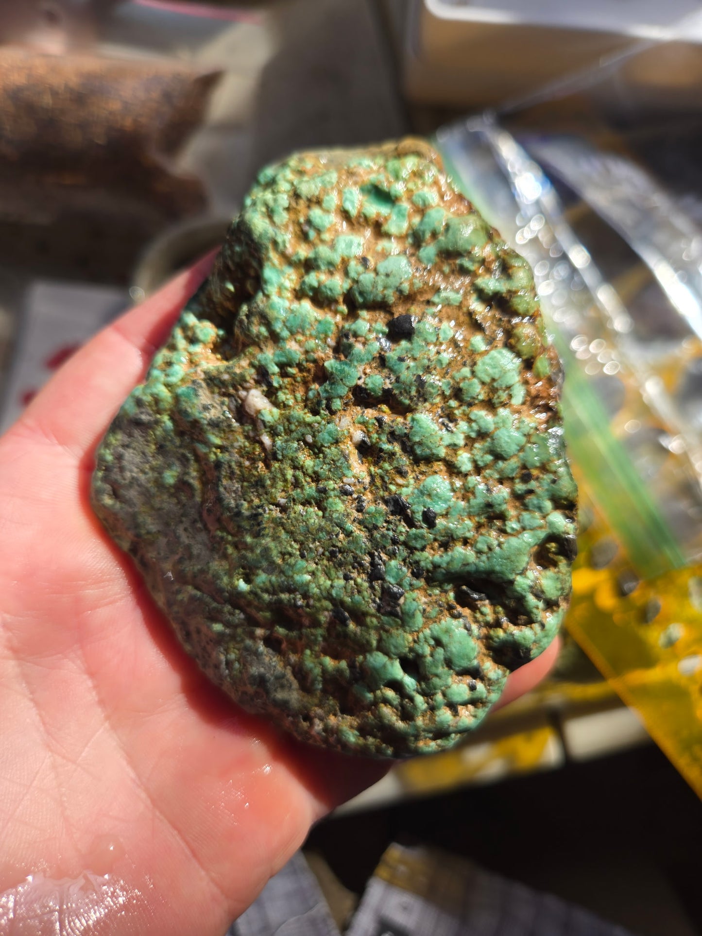 Blue Boy Variscite/Turquoise rough for cabbing - Natural Nevada Variscite - 205 gram lot