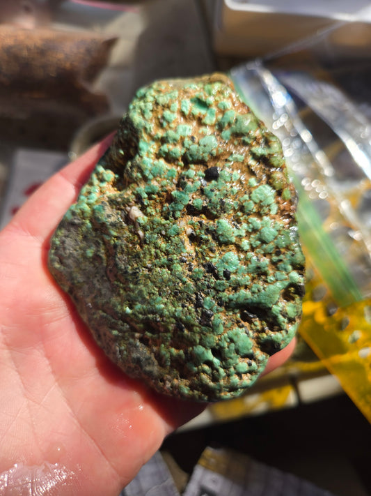 Blue Boy Variscite/Turquoise rough for cabbing - Natural Nevada Variscite - 205 gram lot