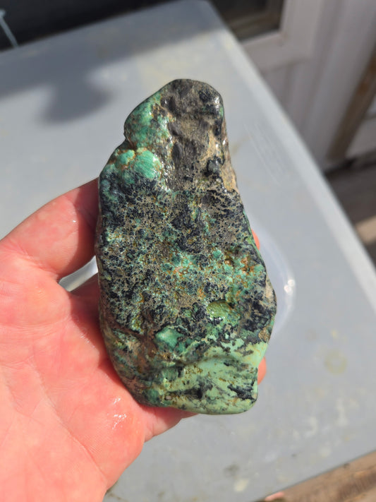 Blue Boy Variscite/Turquoise rough for cabbing - Natural Nevada Variscite - 155 gram lot
