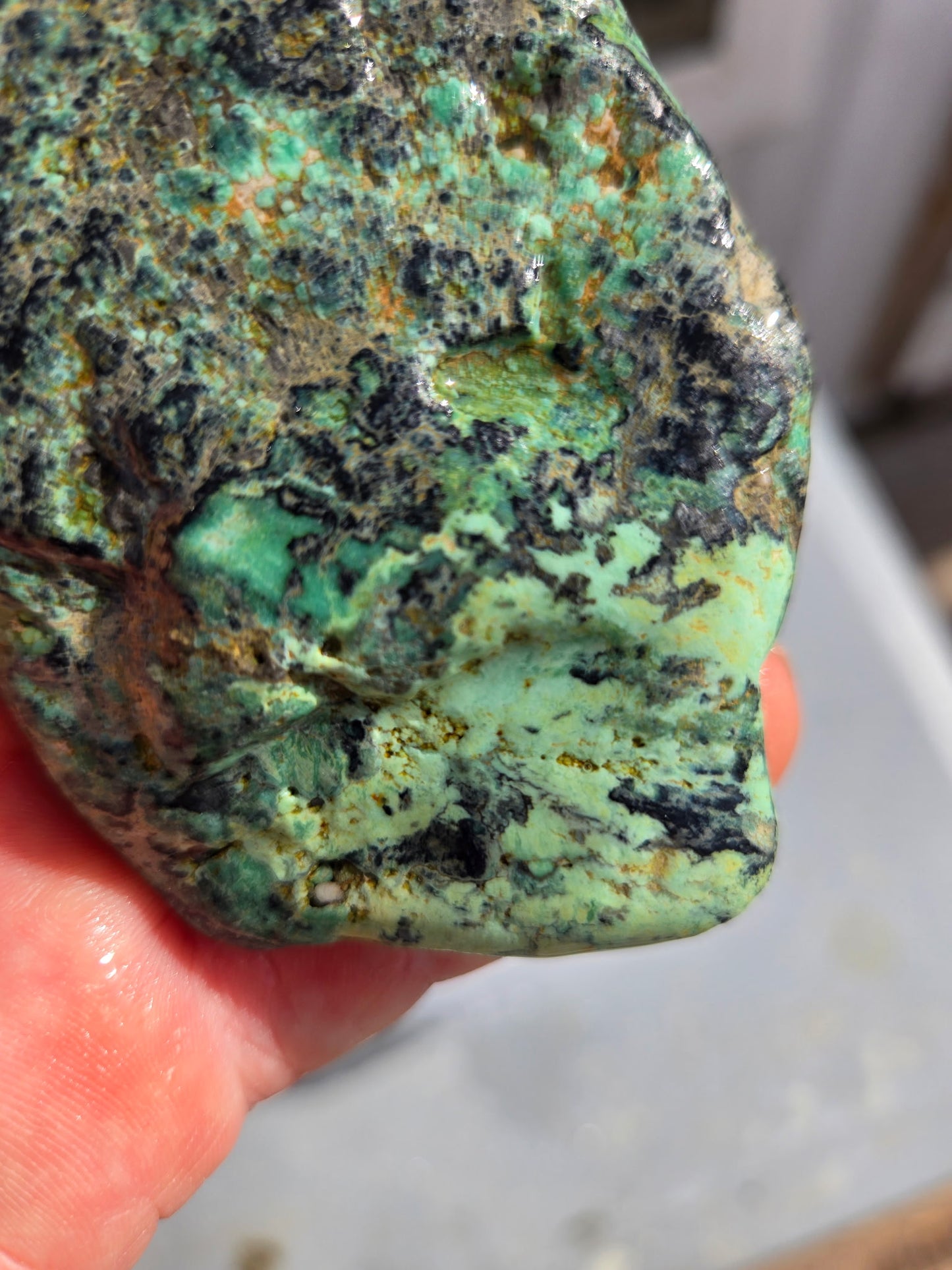 Blue Boy Variscite/Turquoise rough for cabbing - Natural Nevada Variscite - 155 gram lot