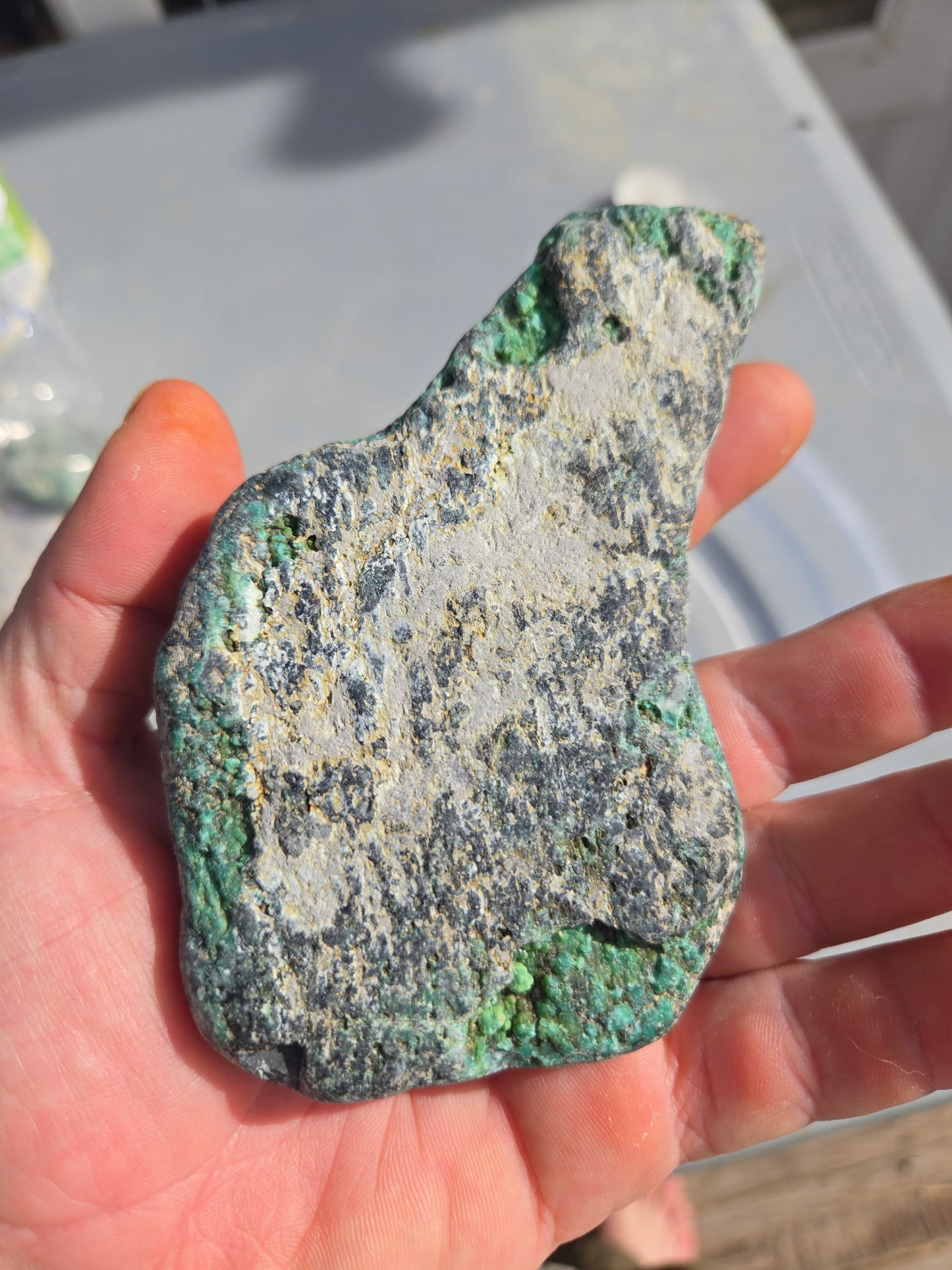 Blue Boy Variscite/Turquoise rough for cabbing - Natural Nevada Variscite - 206 gram lot