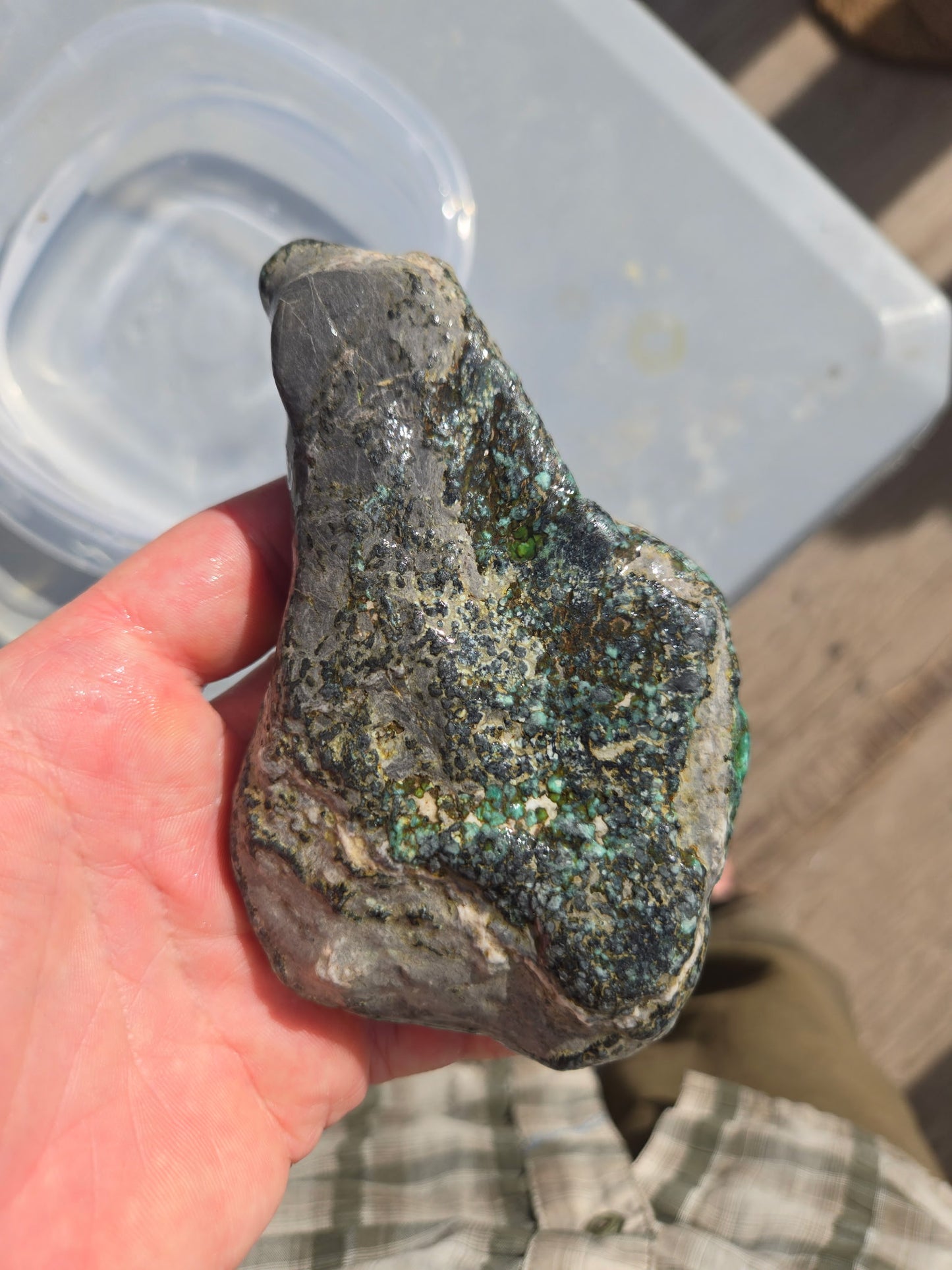 Blue Boy Variscite/Turquoise rough for cabbing - Natural Nevada Variscite - 206 gram lot