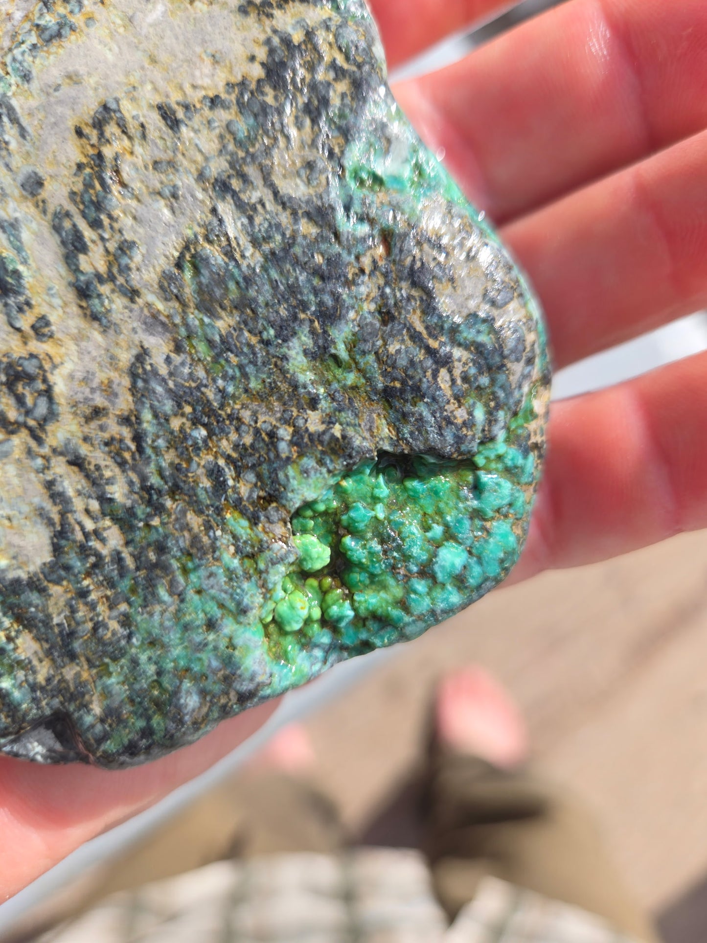 Blue Boy Variscite/Turquoise rough for cabbing - Natural Nevada Variscite - 206 gram lot