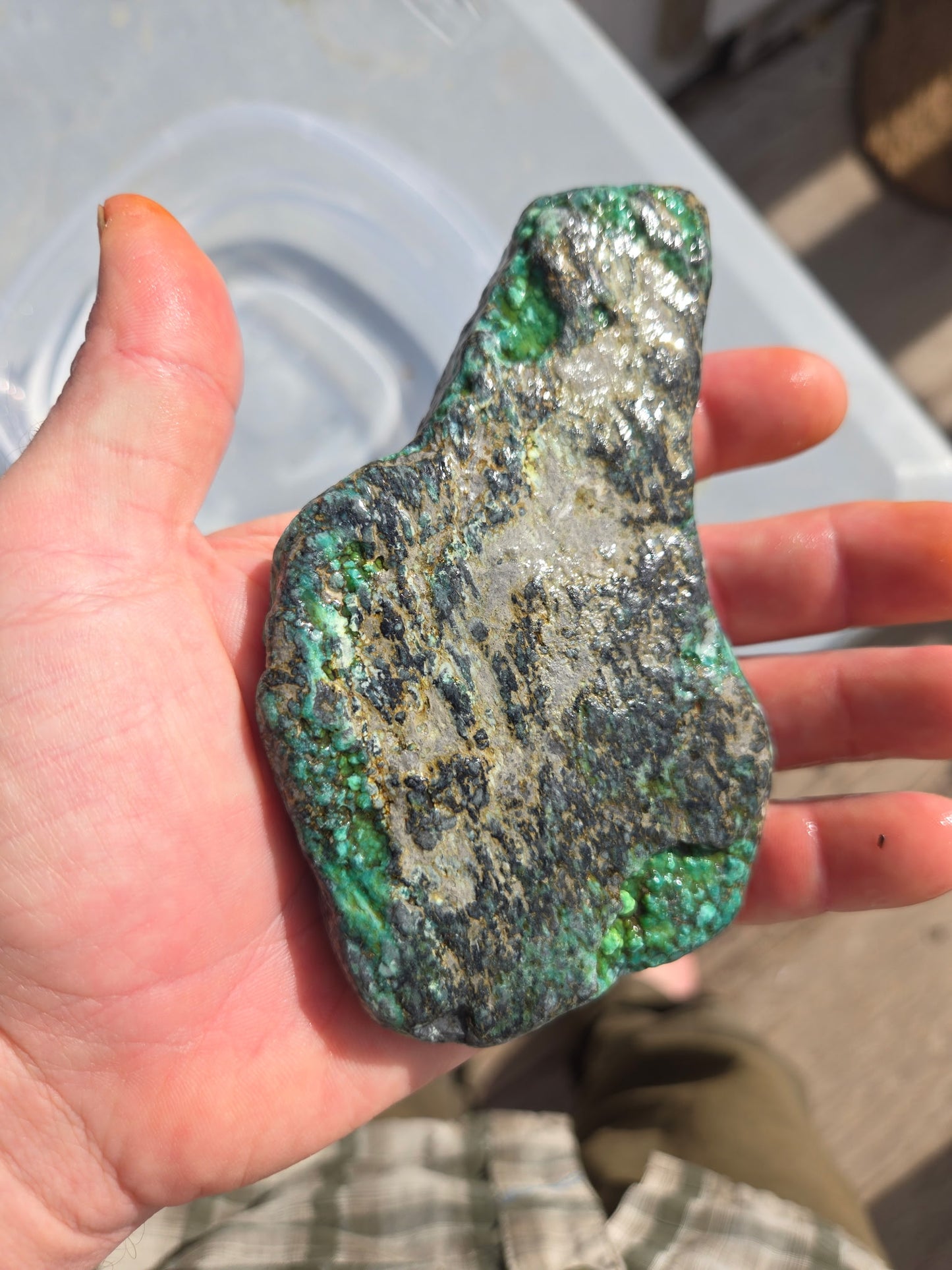 Blue Boy Variscite/Turquoise rough for cabbing - Natural Nevada Variscite - 206 gram lot