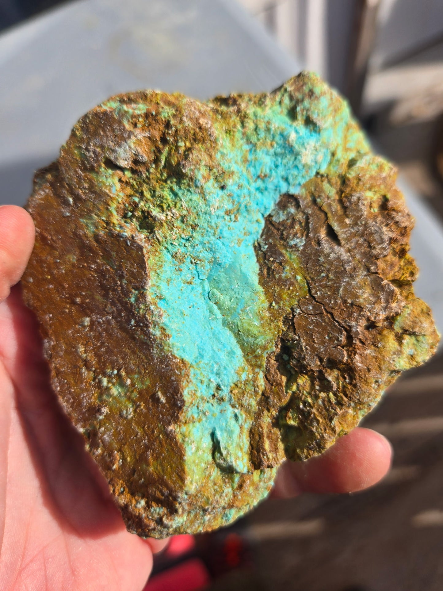 Patagonia Turquoise rough for cabbing - 258 grams