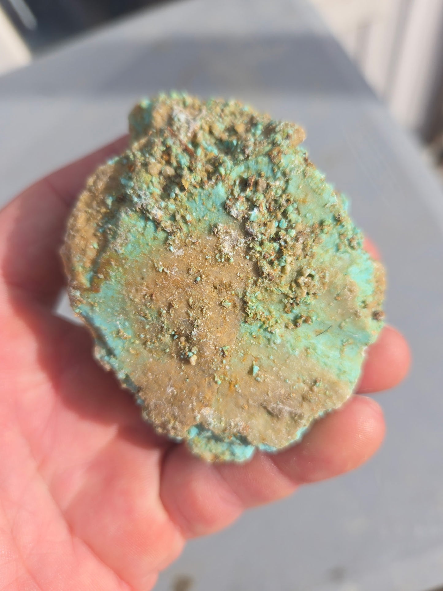 Patagonia Turquoise rough for cabbing - 224 grams