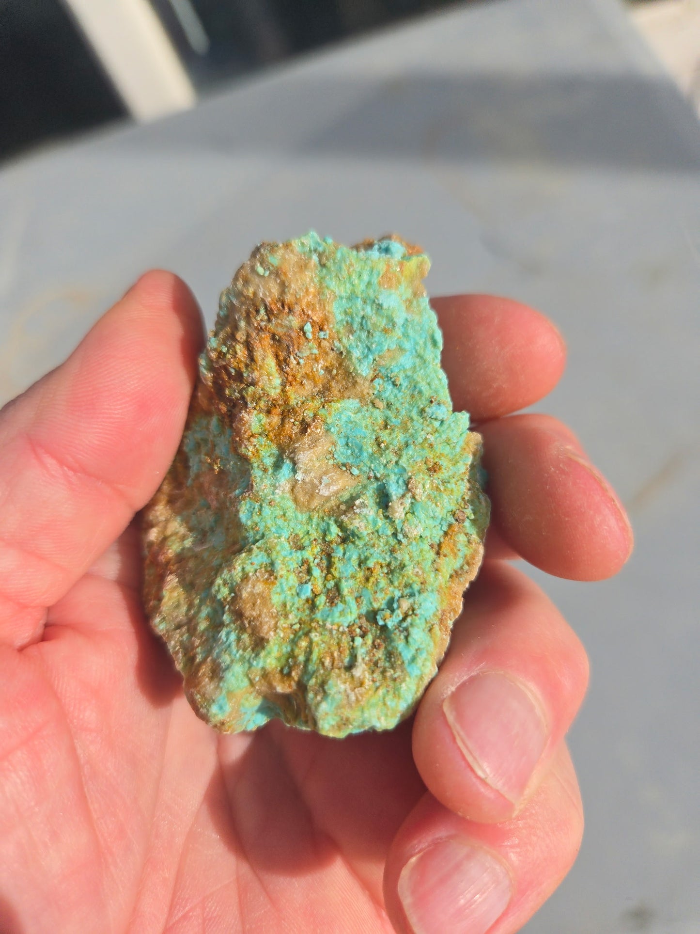 Patagonia Turquoise rough for cabbing - 224 grams