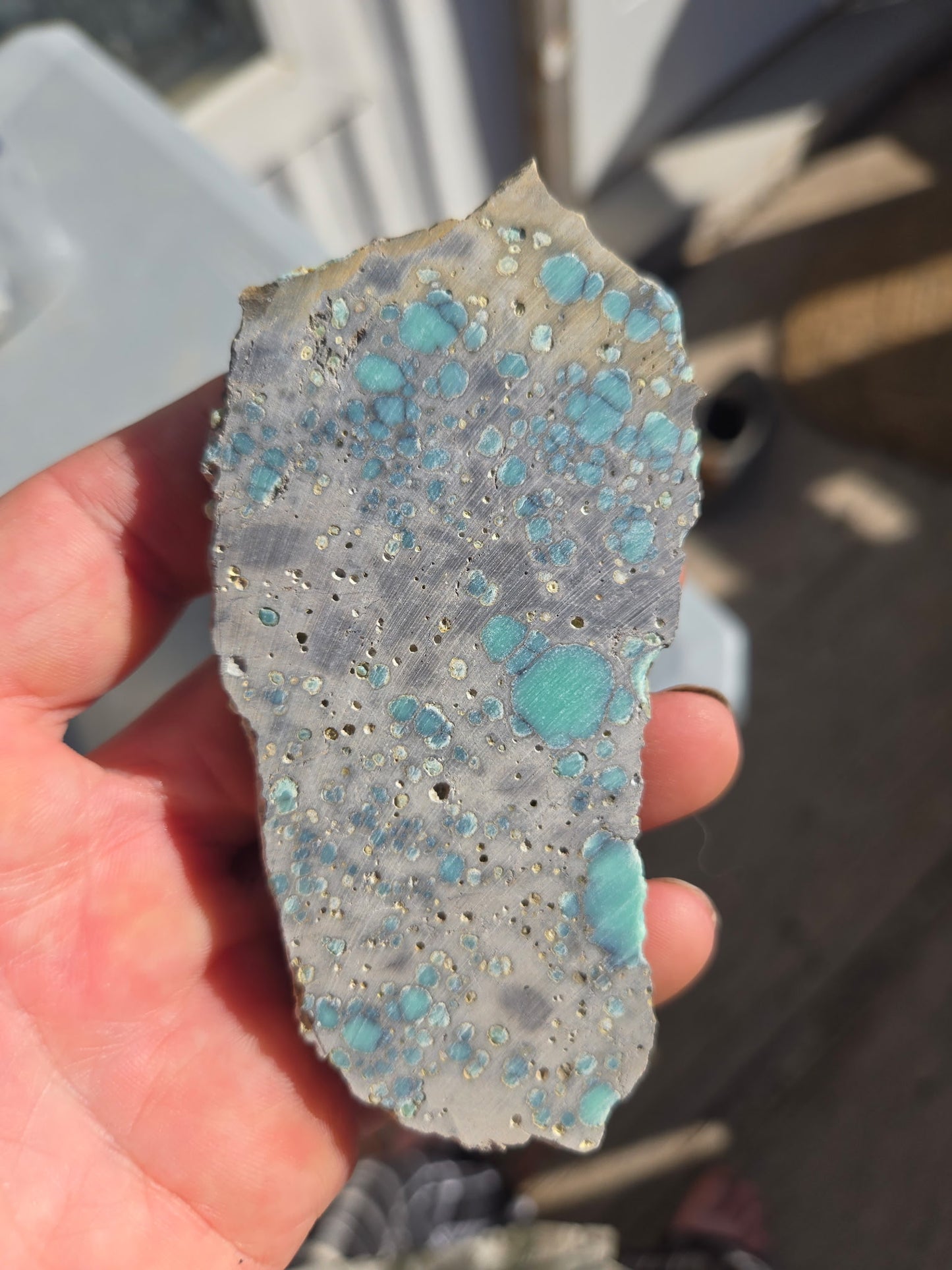Desert Bloom Variscite/Turquoise rough for cabbing - Nevada Variscite -89 grams