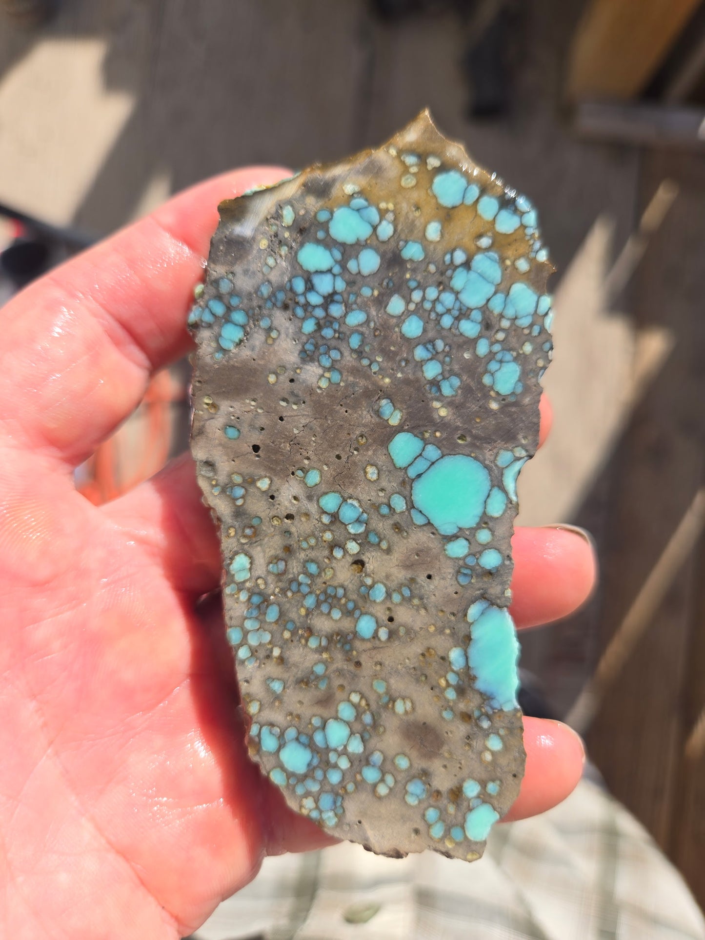 Desert Bloom Variscite/Turquoise rough for cabbing - Nevada Variscite -89 grams