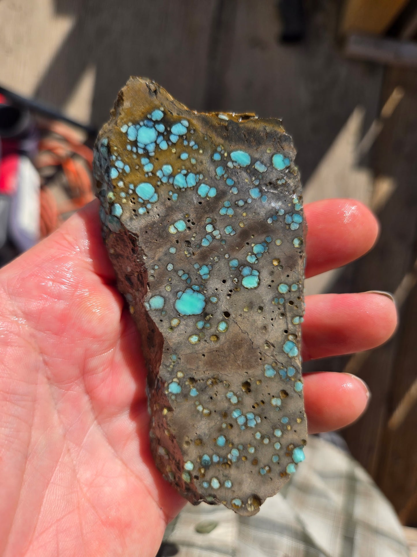 Desert Bloom Variscite/Turquoise rough for cabbing - Nevada Variscite -89 grams