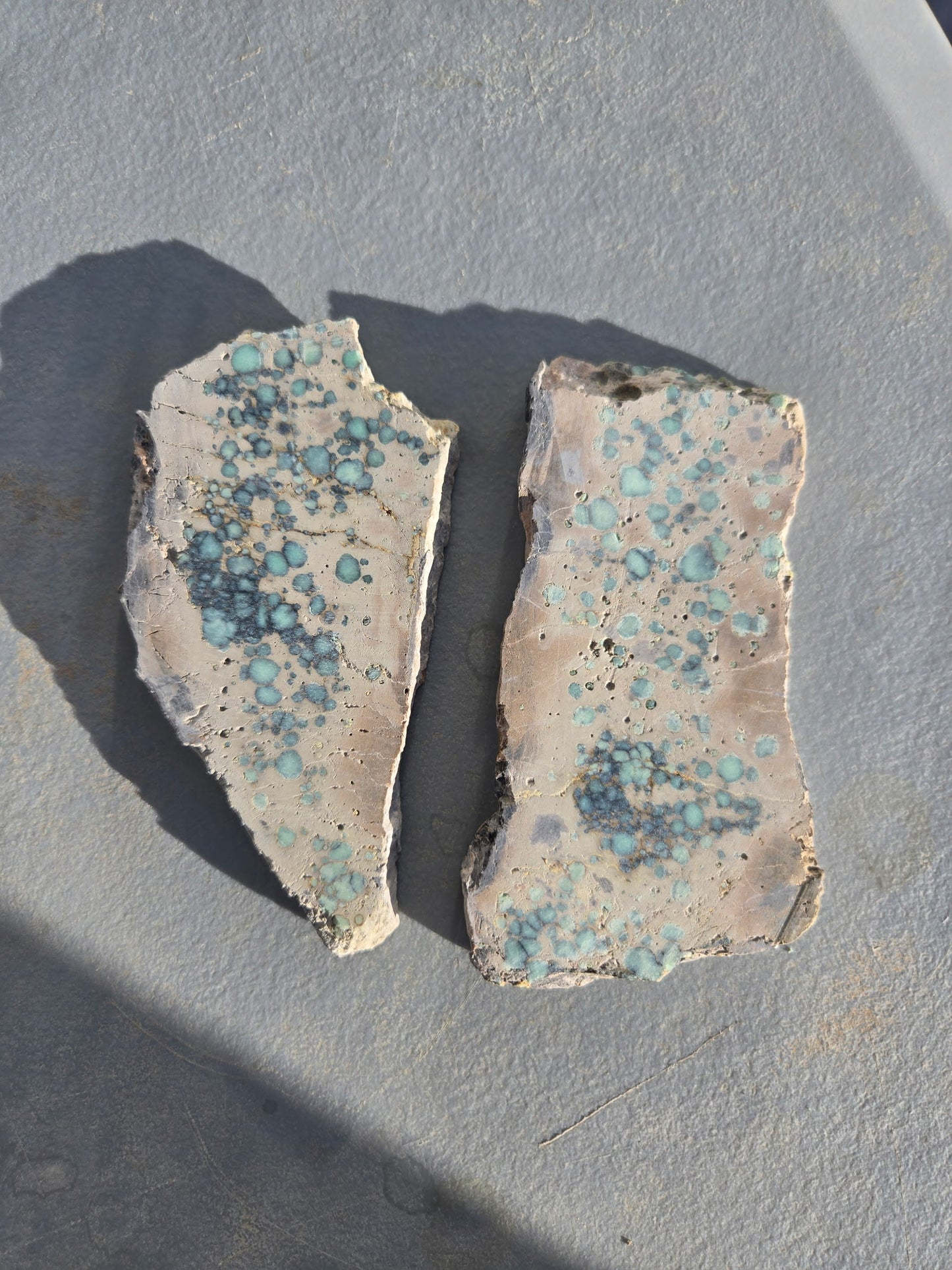 Desert Bloom Variscite/Turquoise rough for cabbing - Nevada Variscite -200 grams
