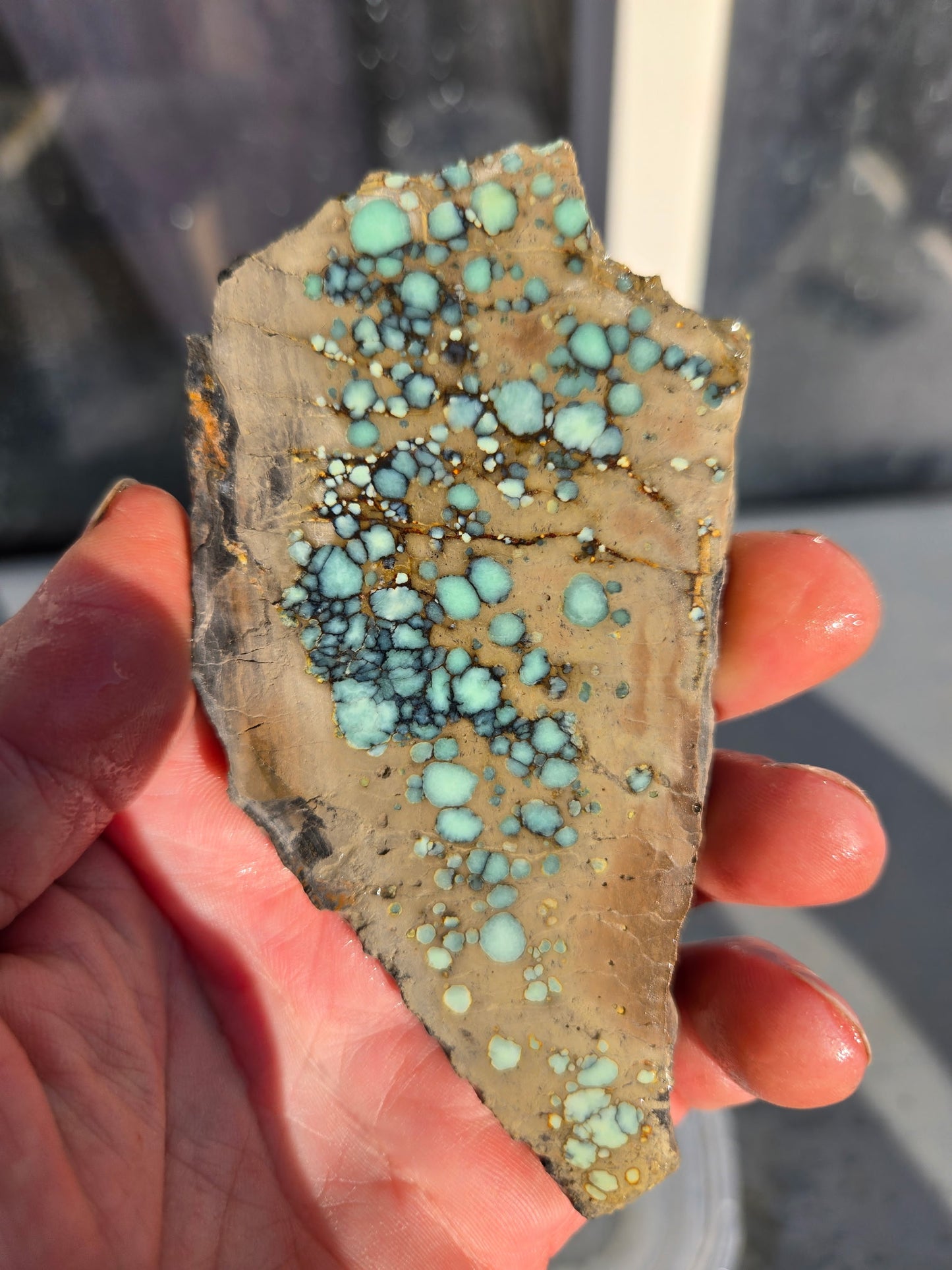 Desert Bloom Variscite/Turquoise rough for cabbing - Nevada Variscite -200 grams
