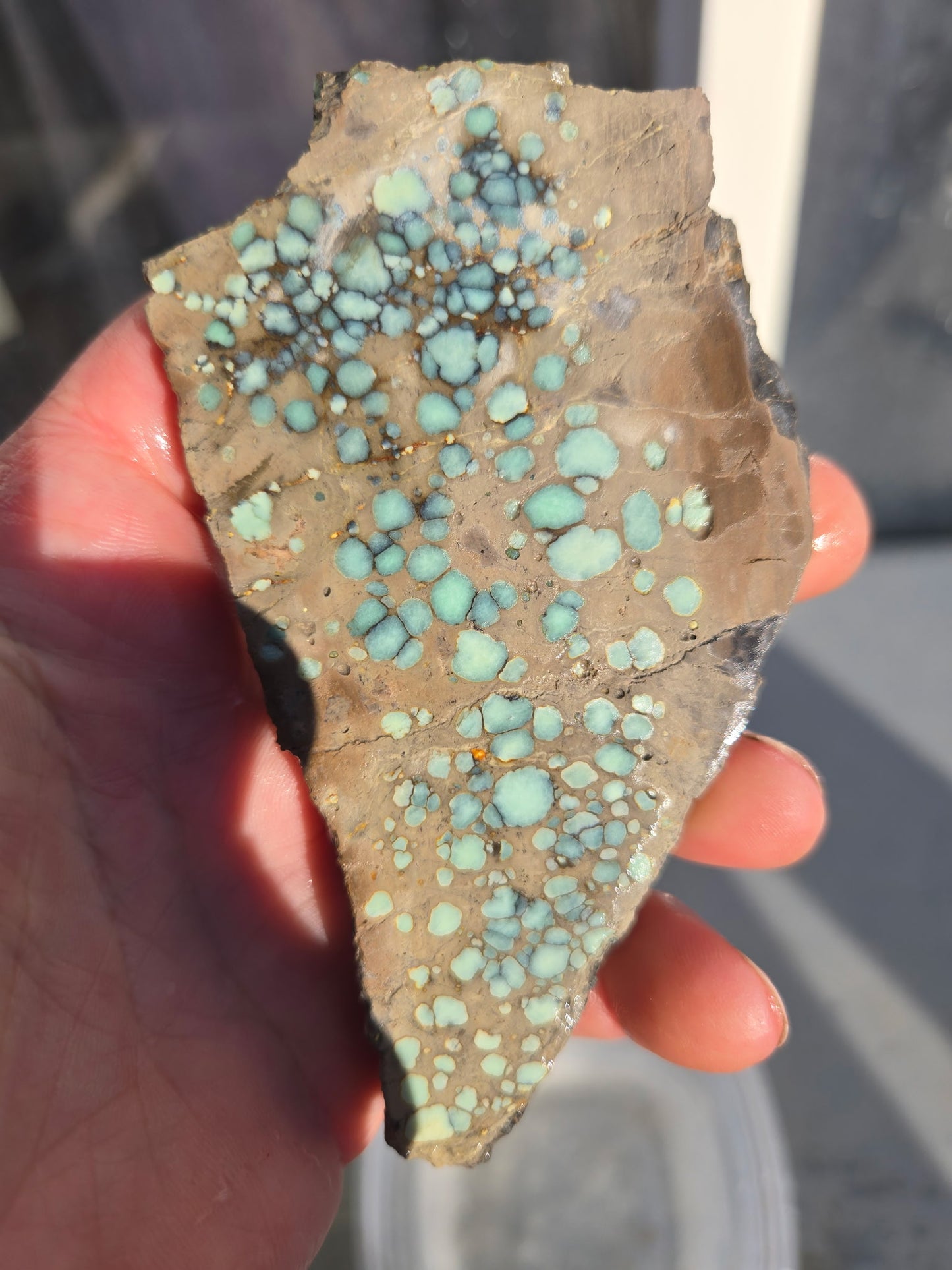 Desert Bloom Variscite/Turquoise rough for cabbing - Nevada Variscite -200 grams