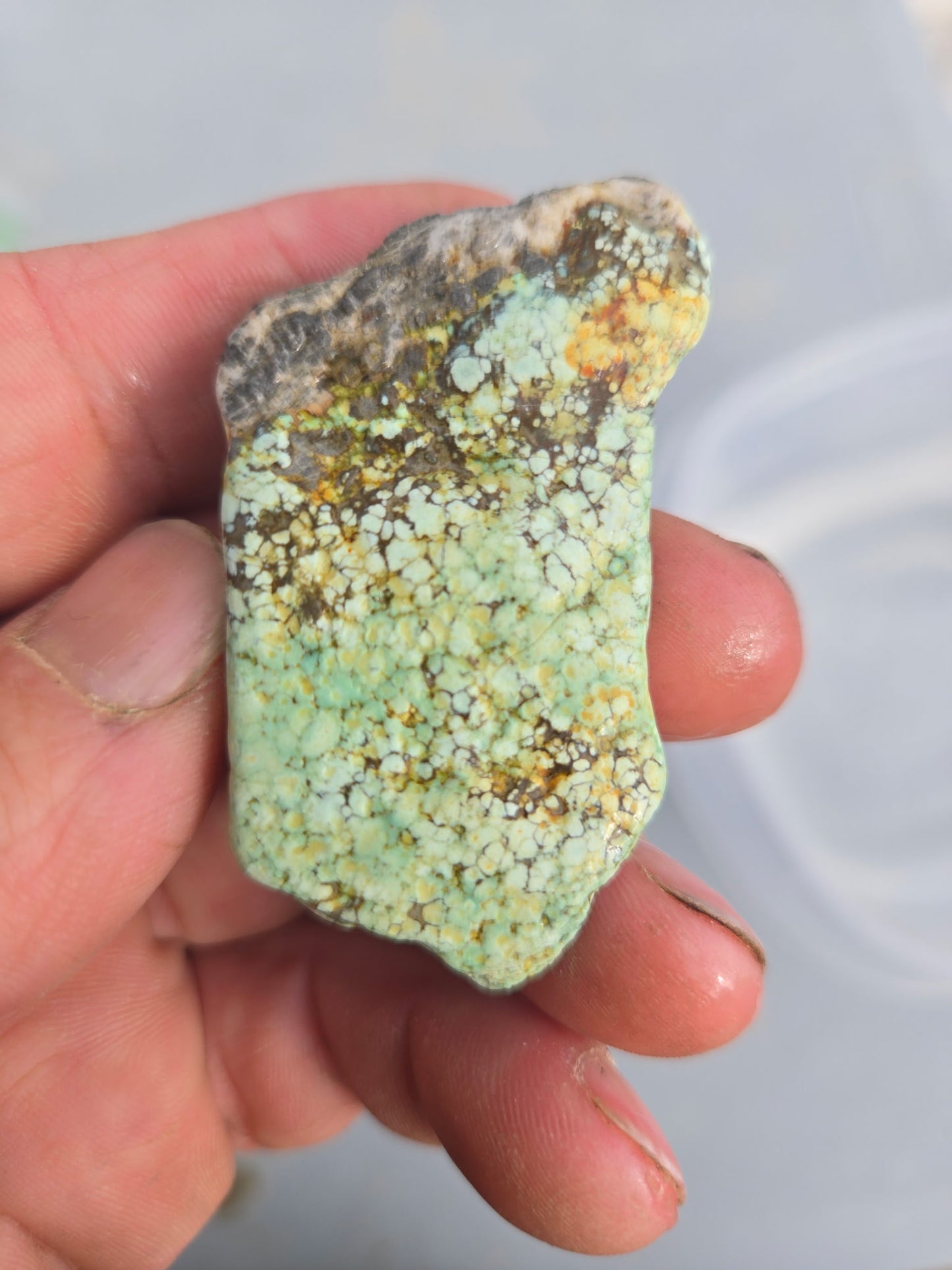 Custom for Eric - Blue Boy Variscite/Turquoise rough for cabbing -  Natural Nevada Variscite - 548 grams