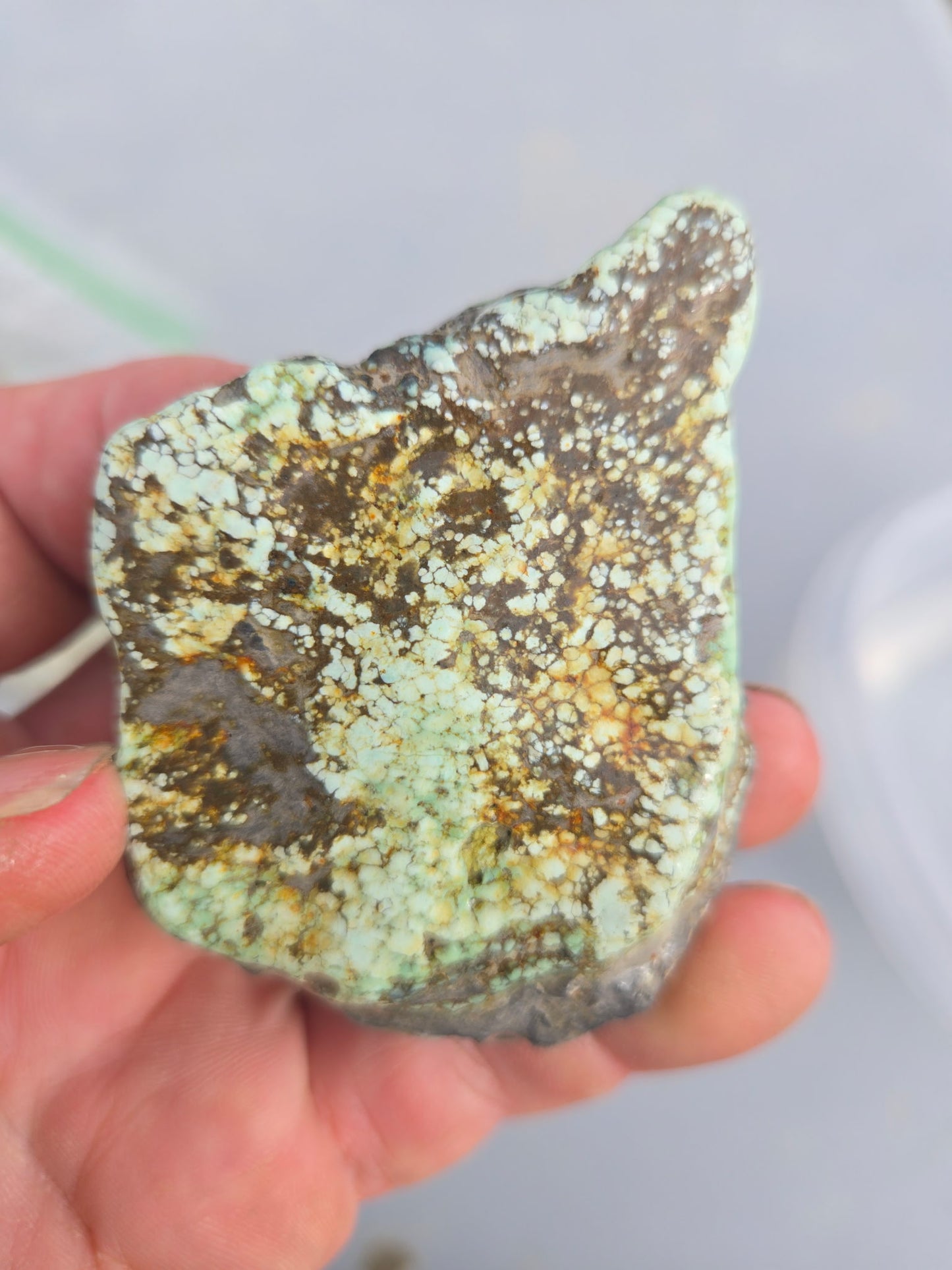 Custom for Eric - Blue Boy Variscite/Turquoise rough for cabbing -  Natural Nevada Variscite - 548 grams