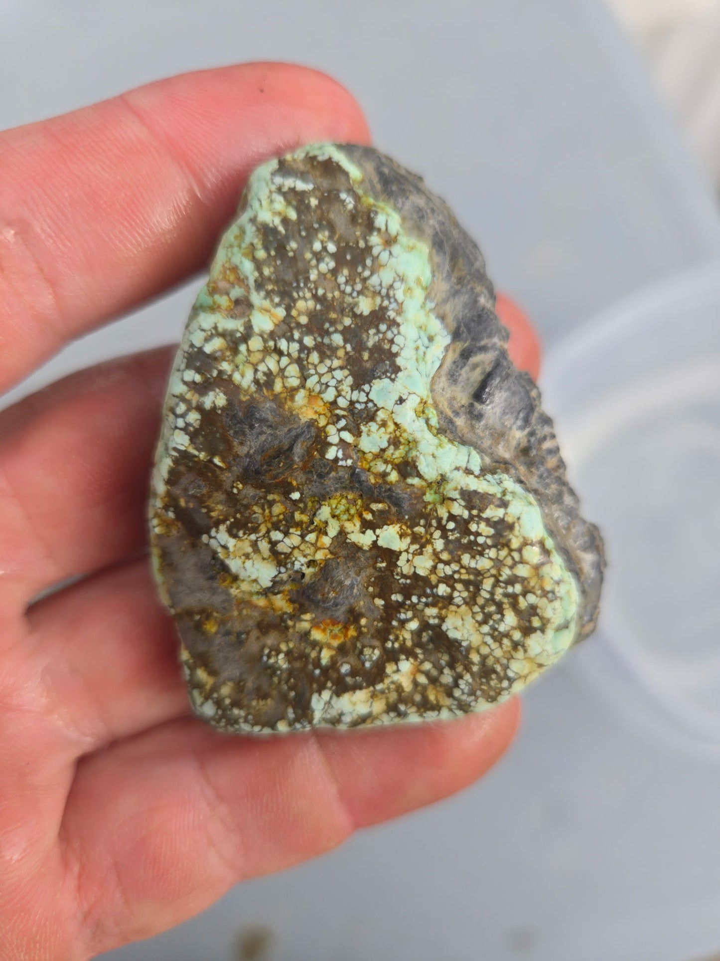 Custom for Eric - Blue Boy Variscite/Turquoise rough for cabbing -  Natural Nevada Variscite - 548 grams