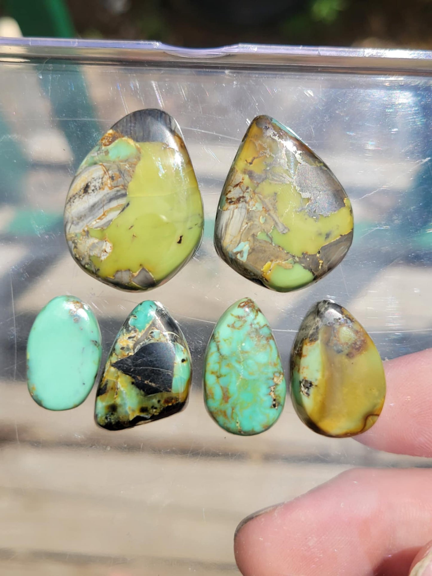 Frog Blossom Variscite Rough for Cabbing