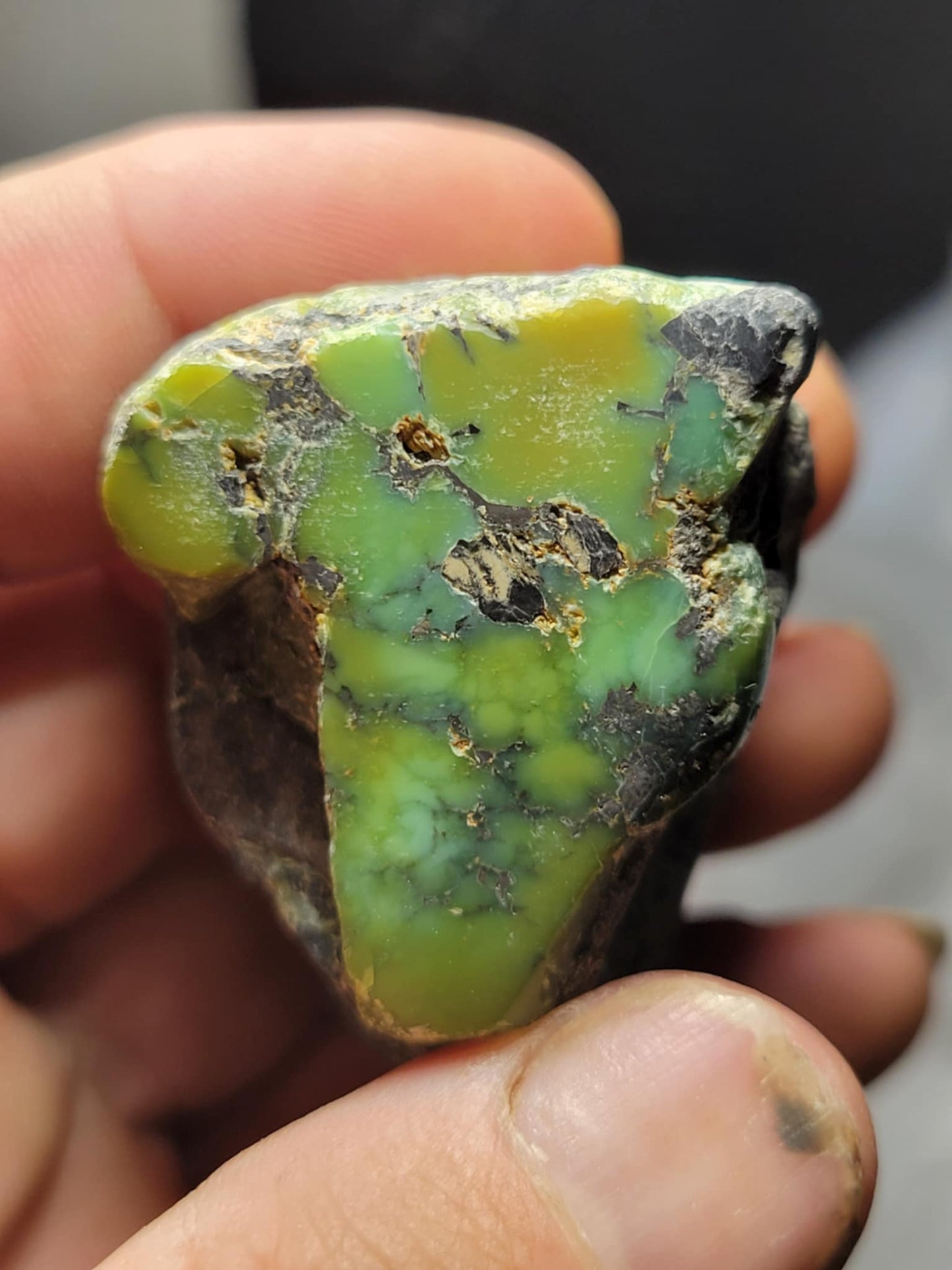 Frog Blossom Variscite Rough for Cabbing (Bulk)