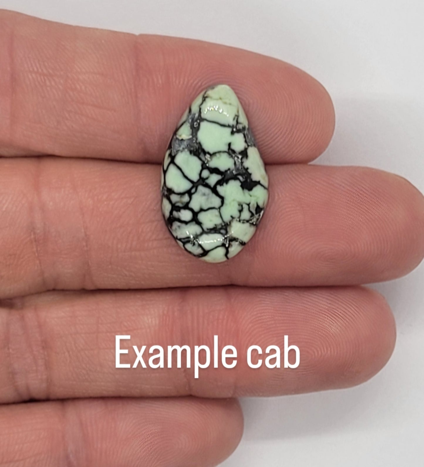 Saguaro Variscite Rough for Cabbing