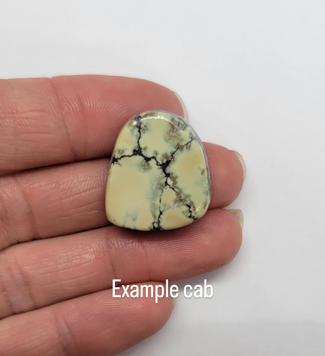 Saguaro Variscite Rough for Cabbing (Bulk)