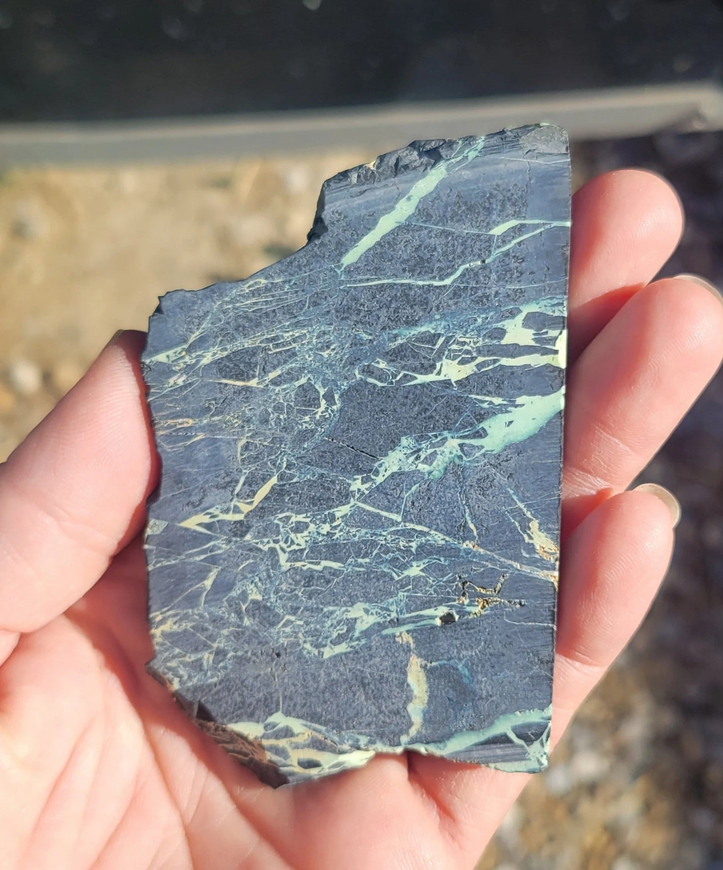 San Pedro Variscite/Turquoise slabs for cabbing/display - Nevada Variscite