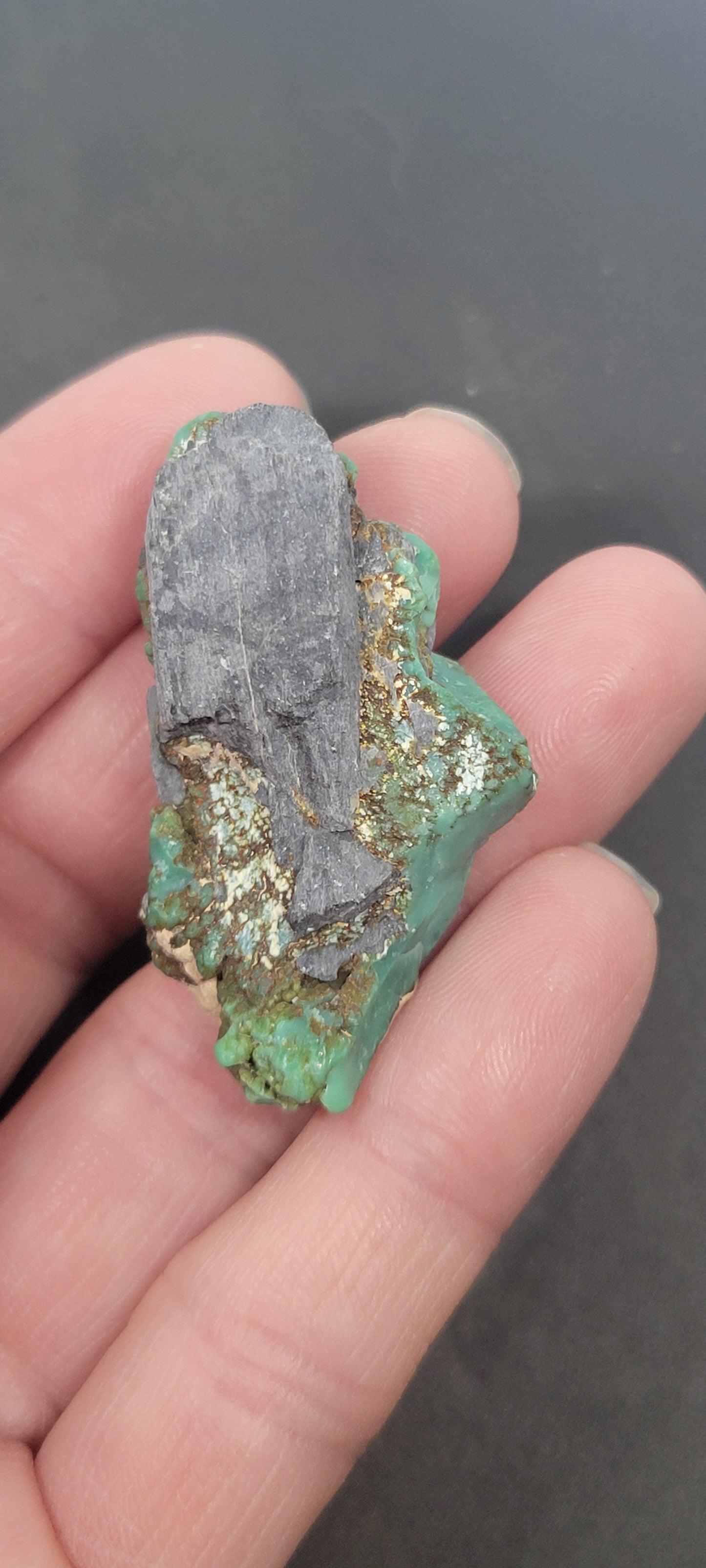 Blue Boy Variscite/Turquoise High Grade rough for cabbing - Nevada Variscite - 32 grams