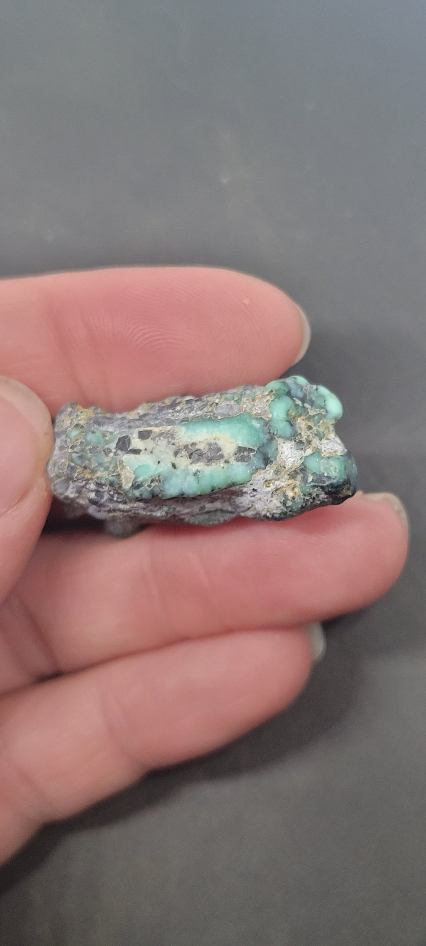 Blue Boy Variscite/Turquoise High Grade rough for cabbing - Nevada Variscite - 32 grams