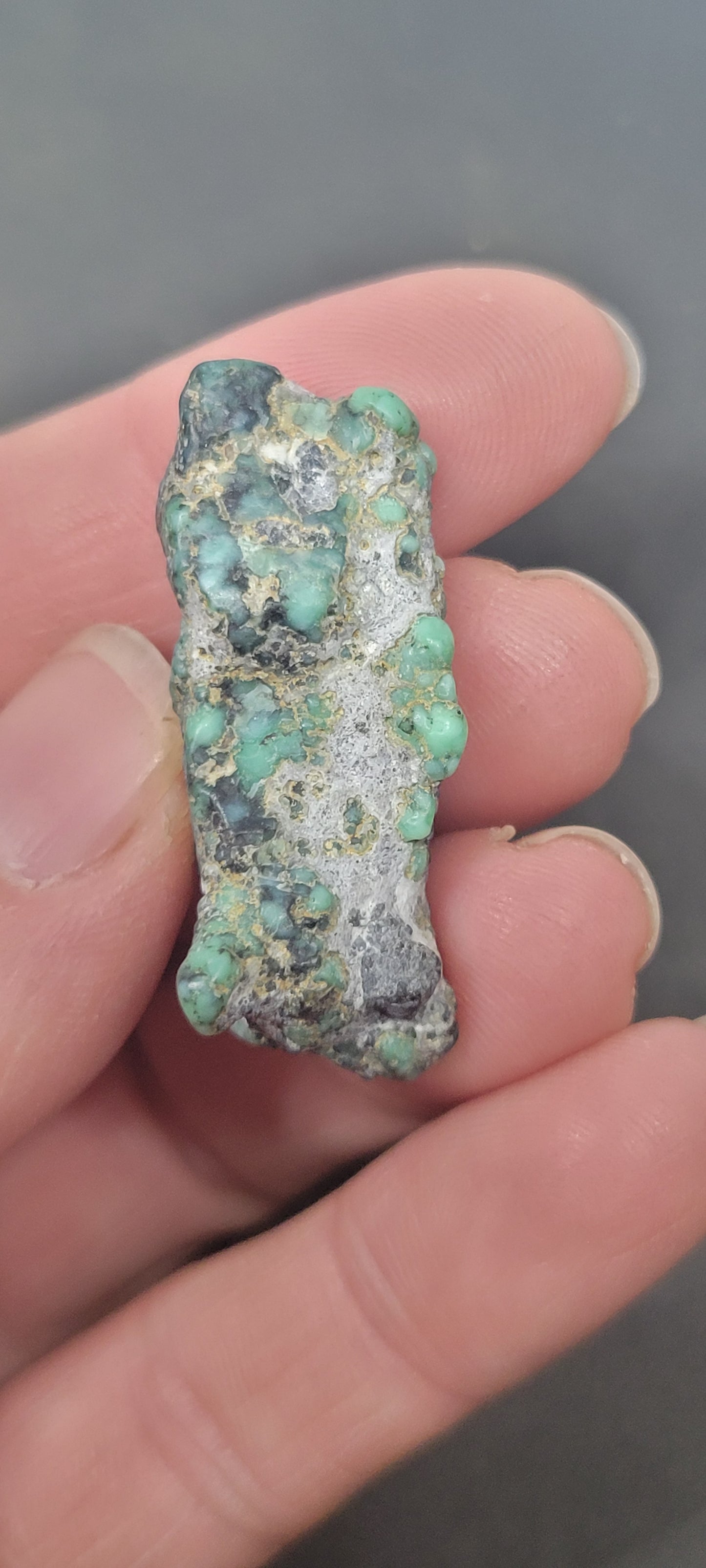 Blue Boy Variscite/Turquoise High Grade rough for cabbing - Nevada Variscite - 32 grams