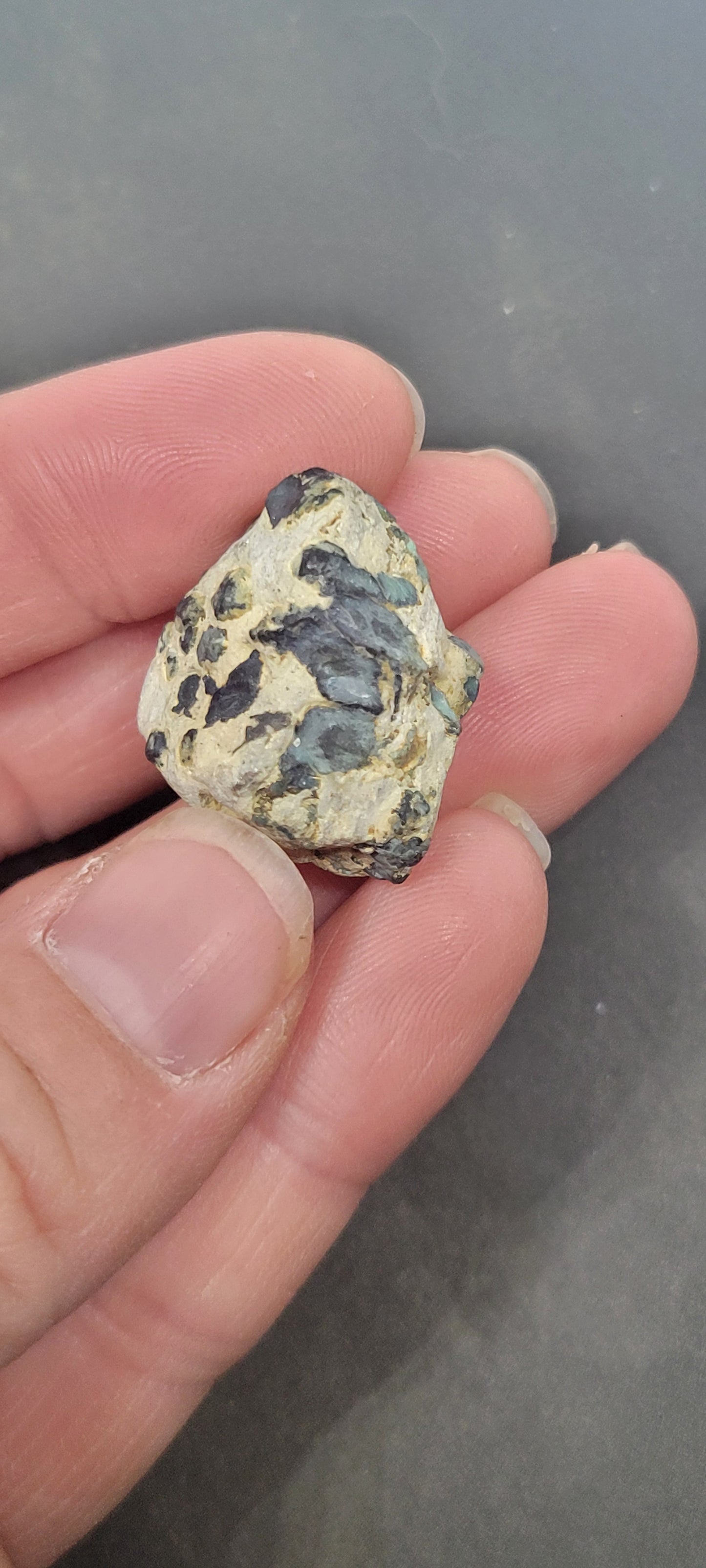 Blue Boy Variscite/Turquoise High Grade rough for cabbing - Nevada Variscite - 32 grams